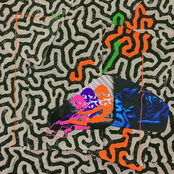 CD Animal Collective - TANGERINE REEF