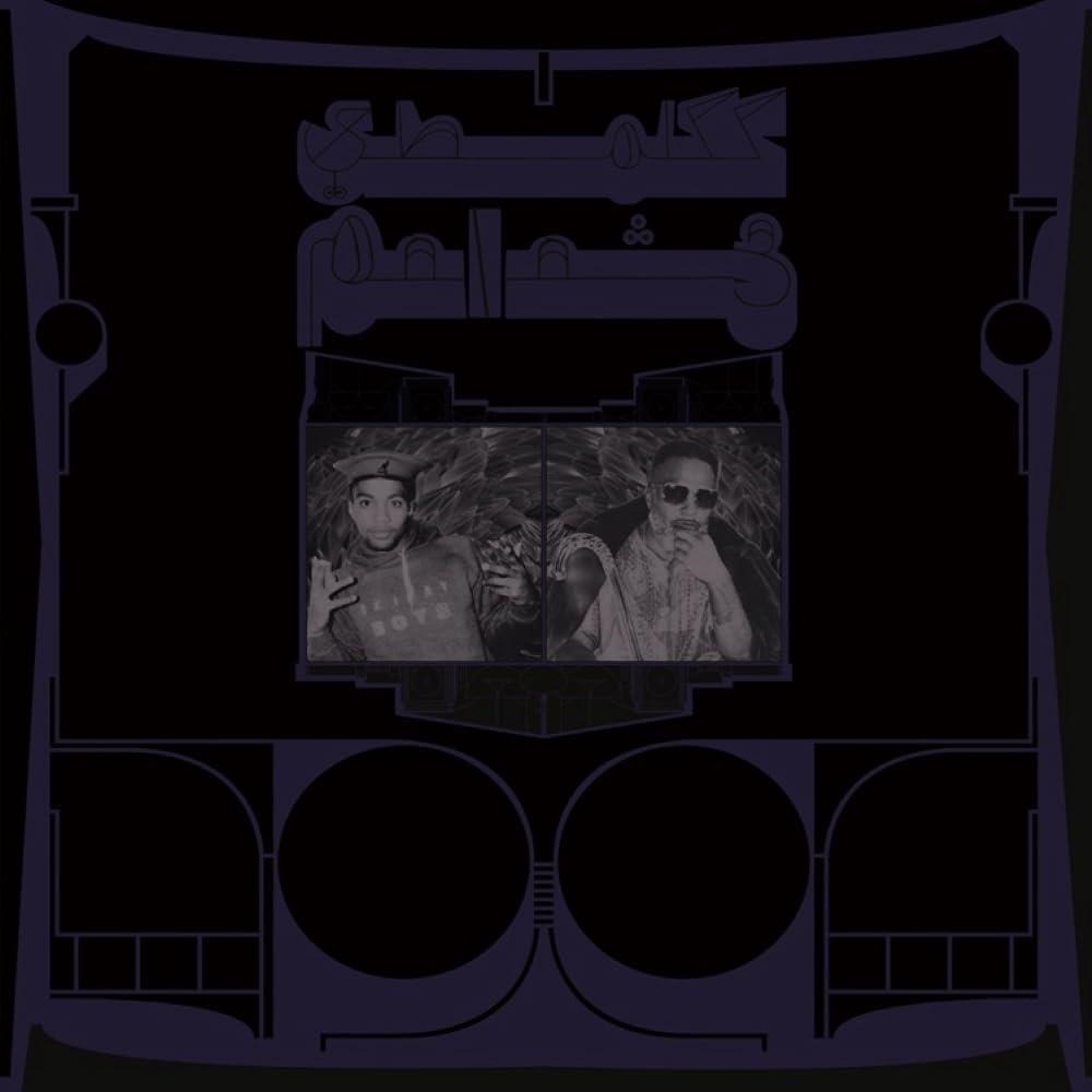 Vinyl Shabazz Palaces - EXOTIC BIRDS OF PREY