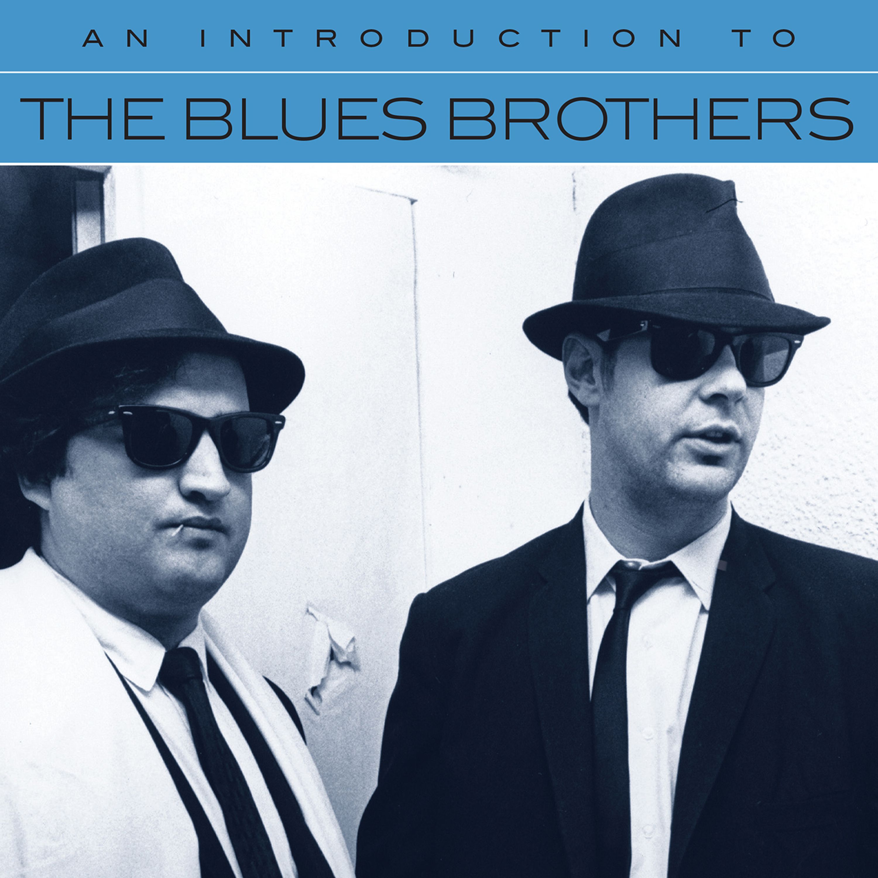 CD The Blues Brothers - AN INTRODUCTION TO