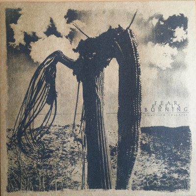 Vinyl Fear Falls Burning - FUNCTION COLLAPSE