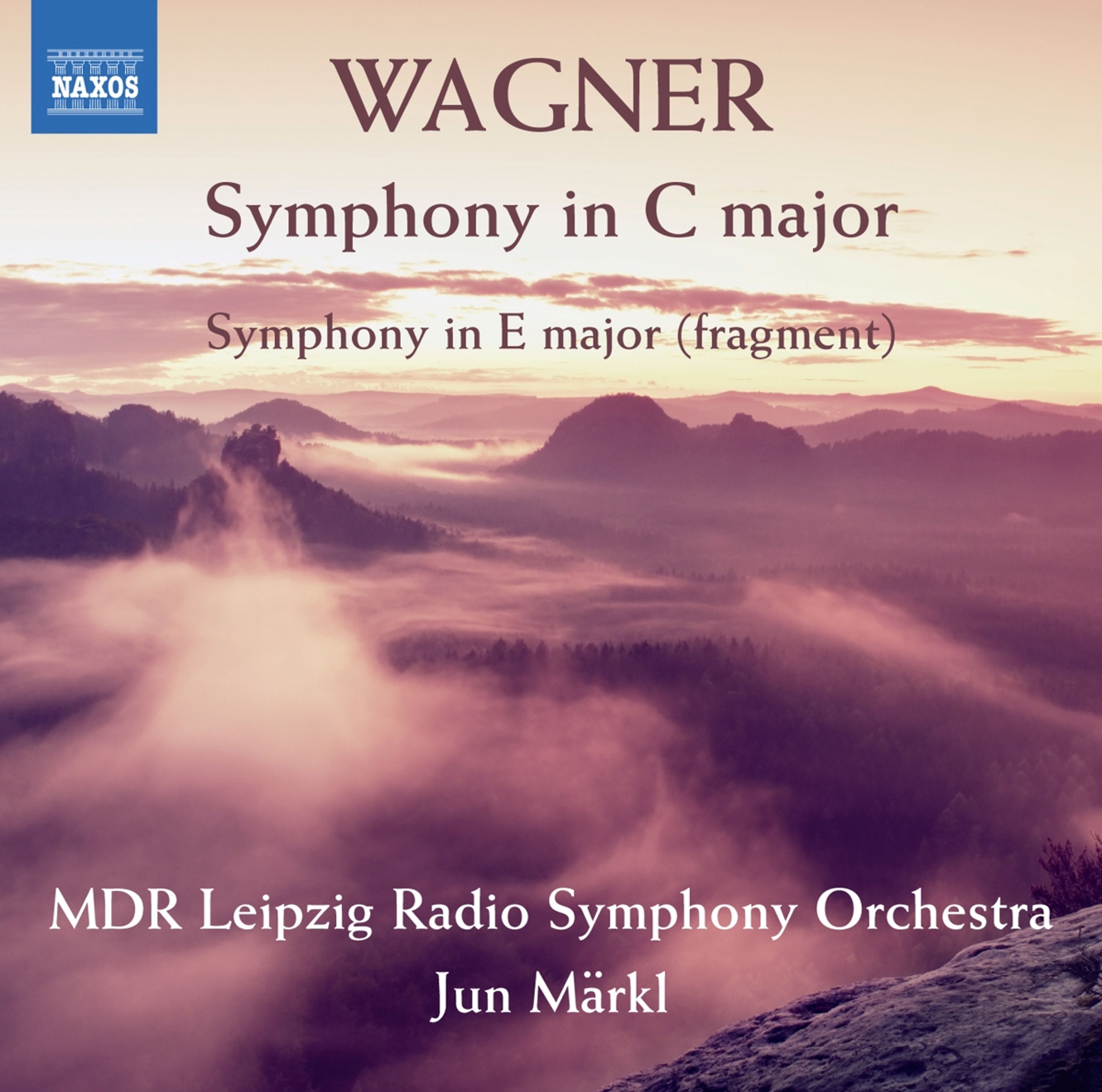 CD Daniele Gatti - SYMPHONY IN C MAJOR/SYMPHONY IN E MAJOR (FRAGMENT)