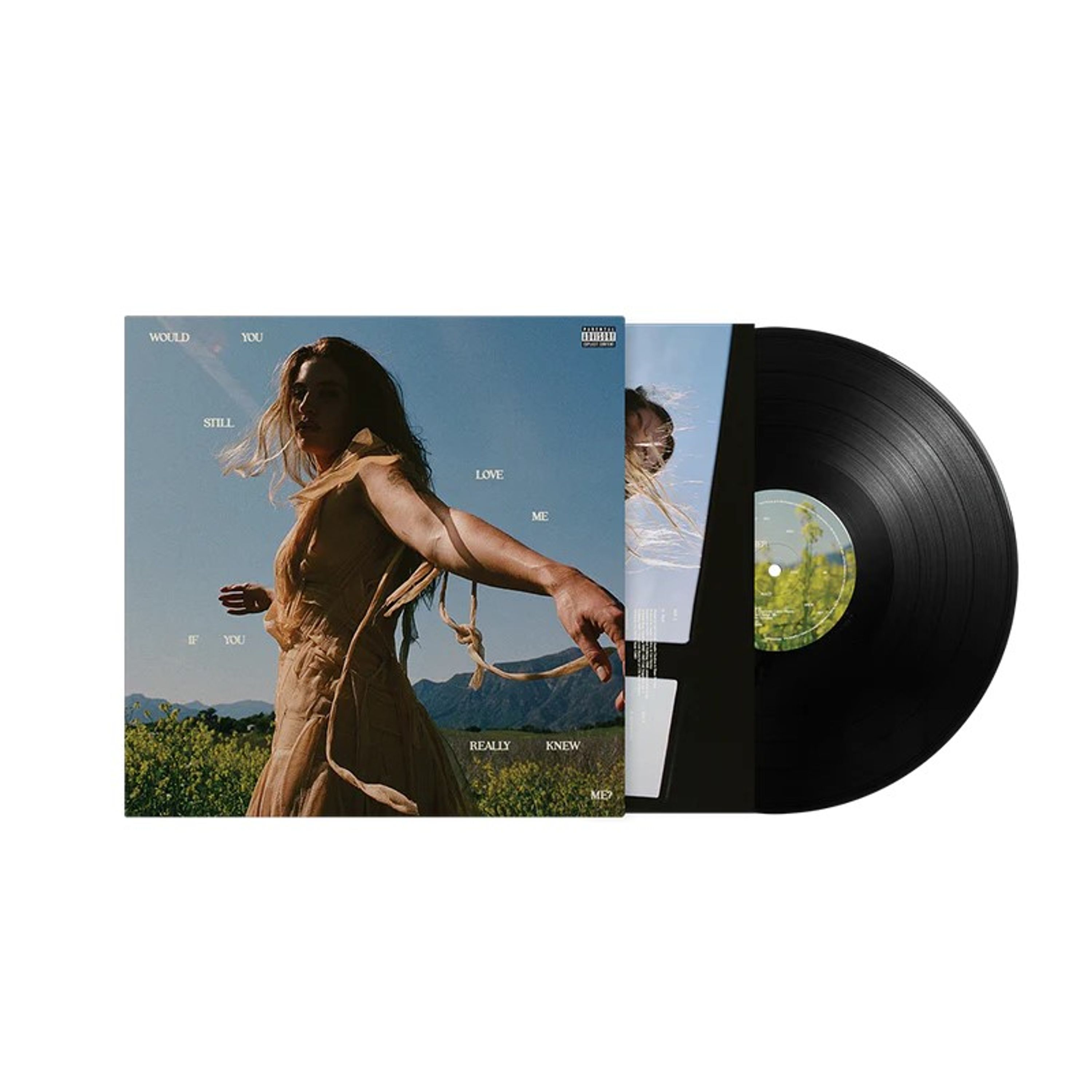 Vinyl Fletcher - WOULD YOU STILL LOVE ME...