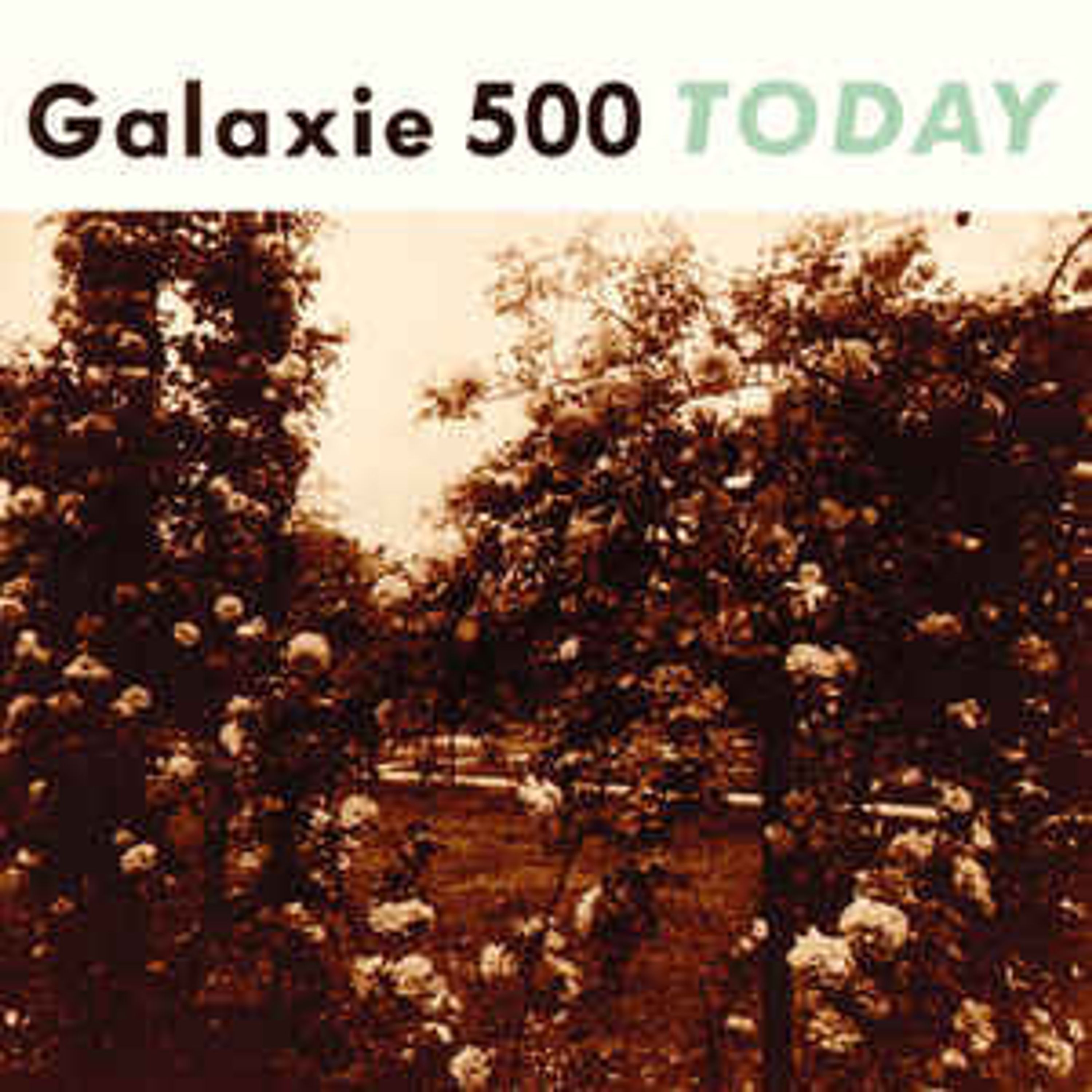 Vinyl Galaxie 500 - TODAY