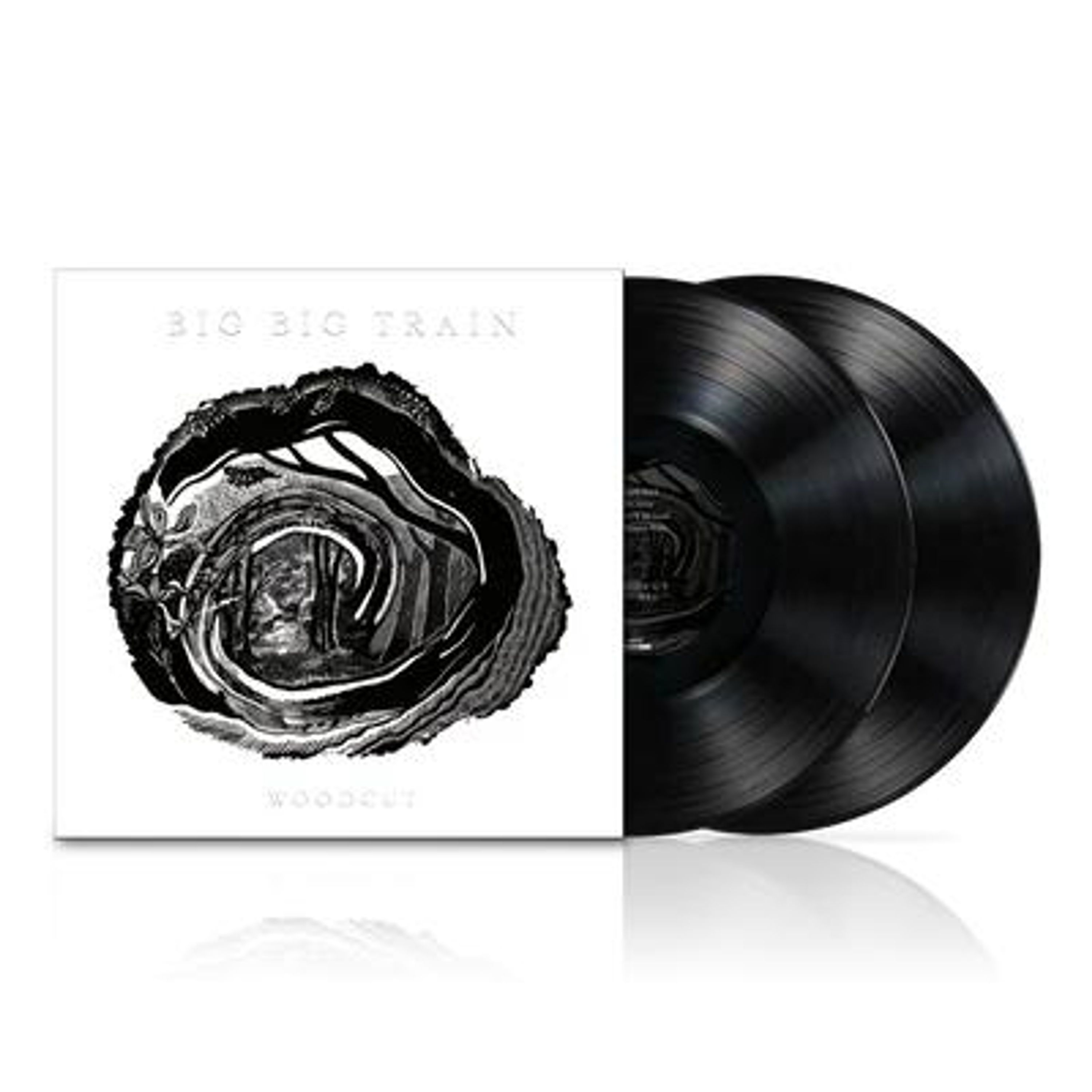 Vinyl Big Big Train - Woodcut