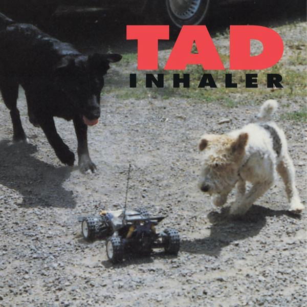 Vinyl Tad - Inhaler