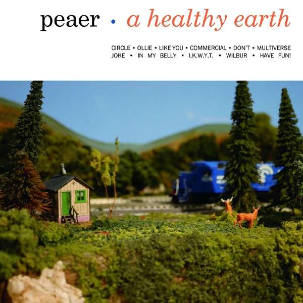 Vinyl Peaer - HEALTHY EARTH