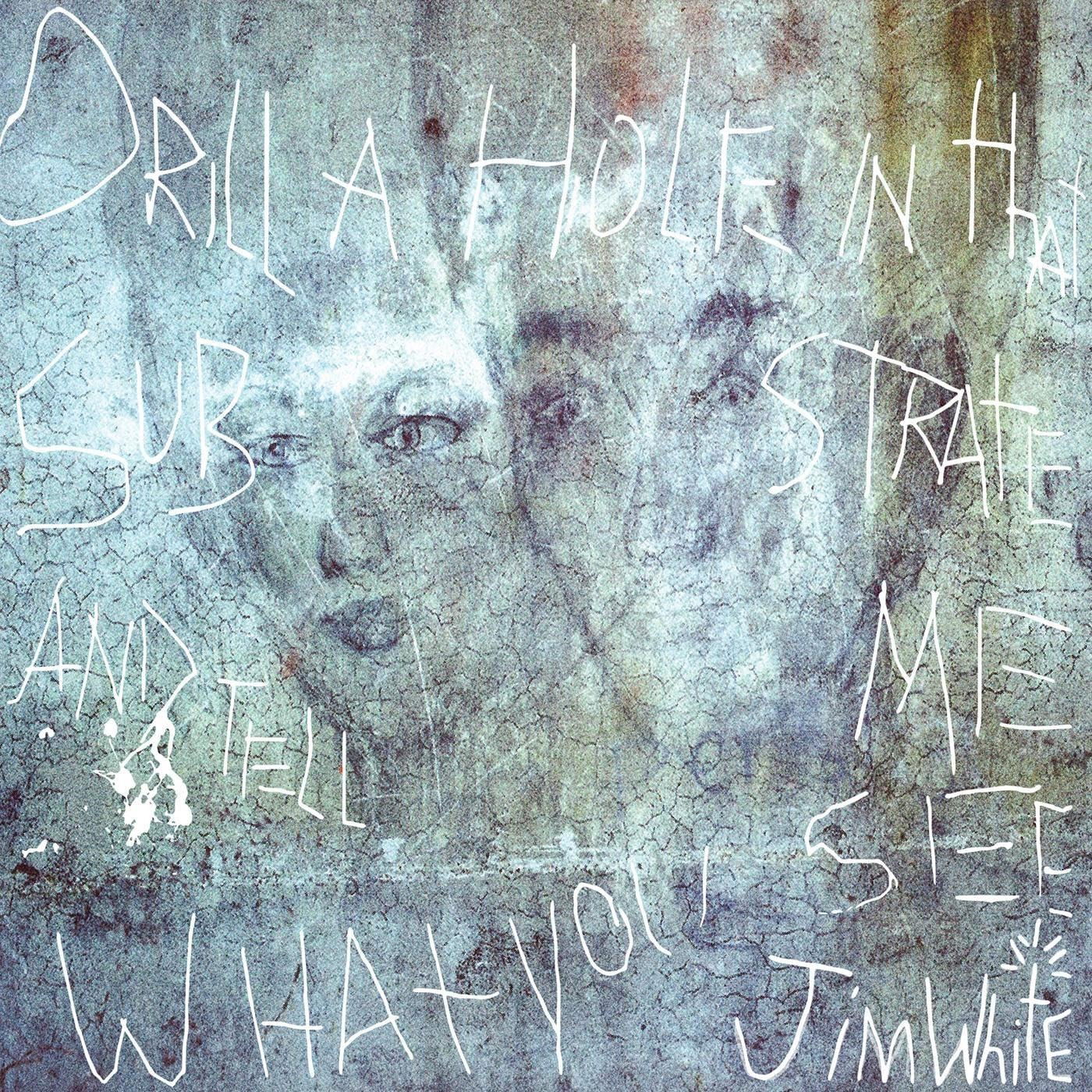 Vinyl Jim White - DRILL A HOLE IN THAT SUBSTRATE AND TELL ME WHAT YOU SEE