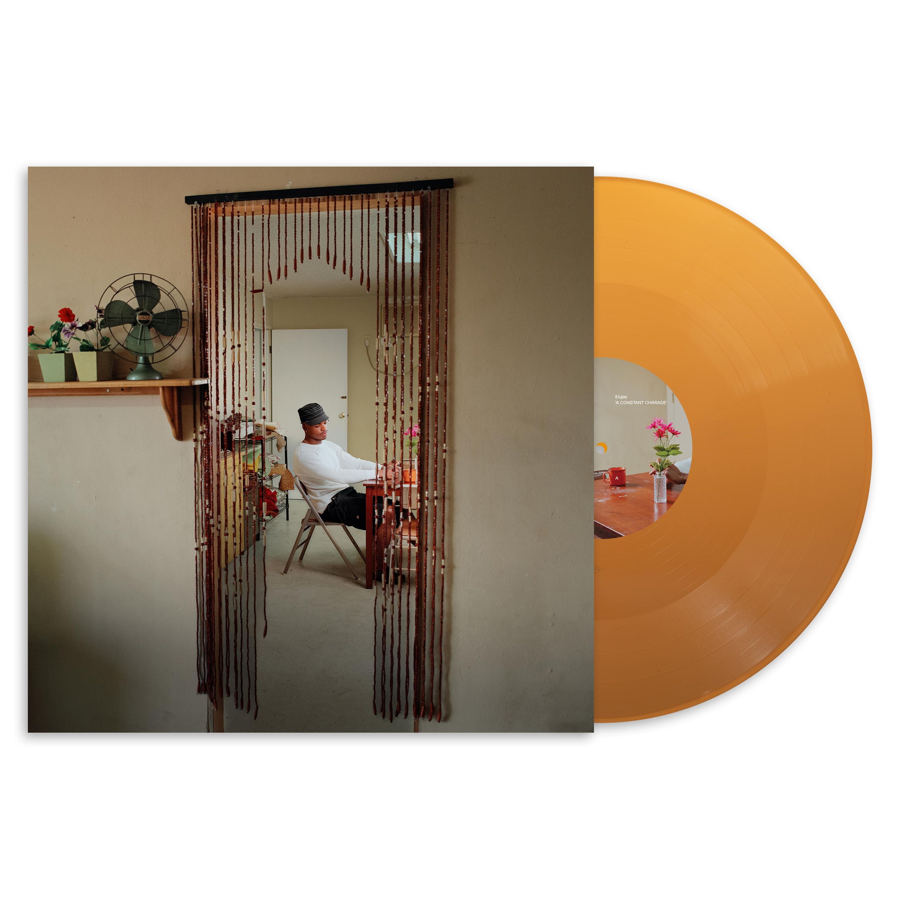 Vinyl - A CONSTANT CHARADE