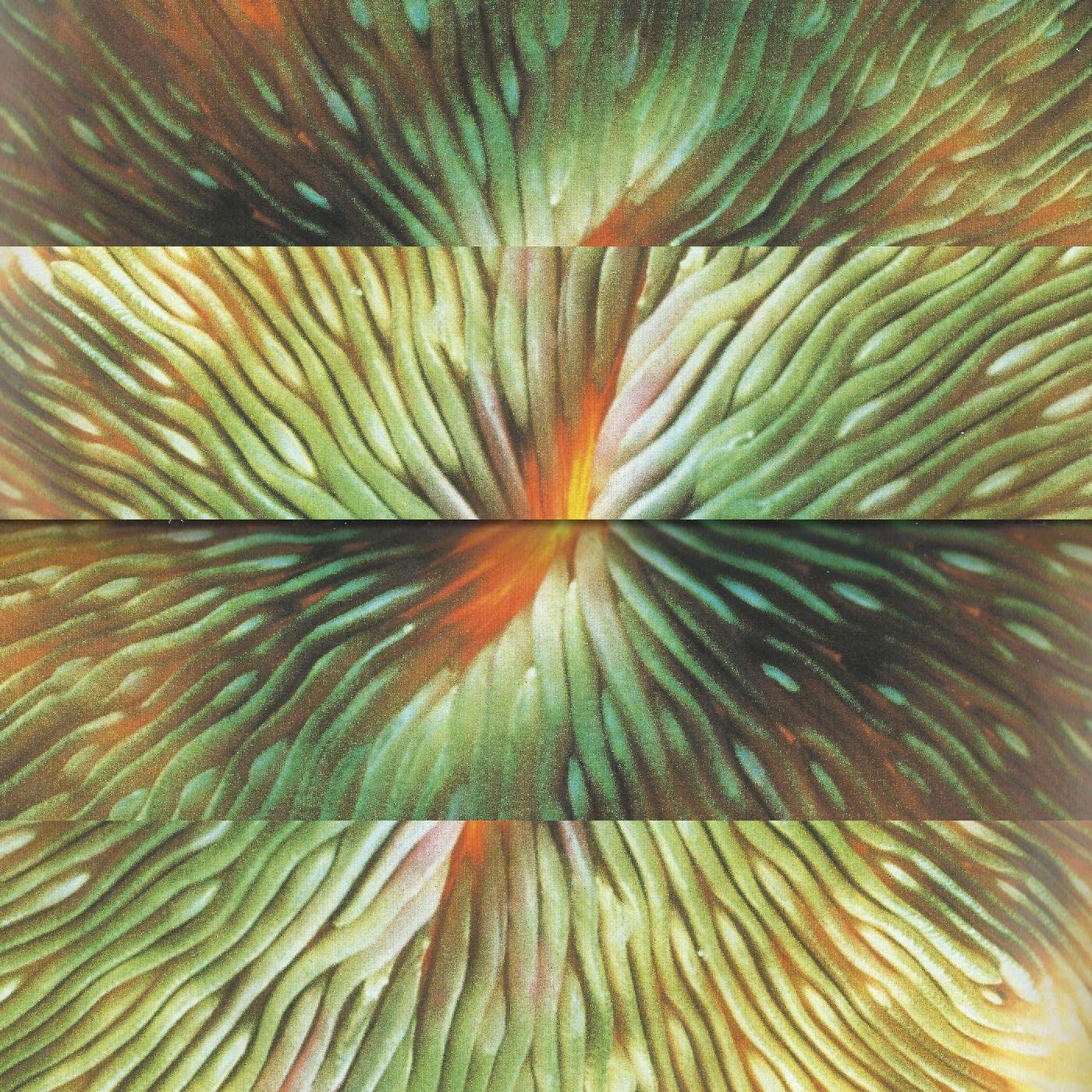 Vinyl Active Surplus - MIRRORING
