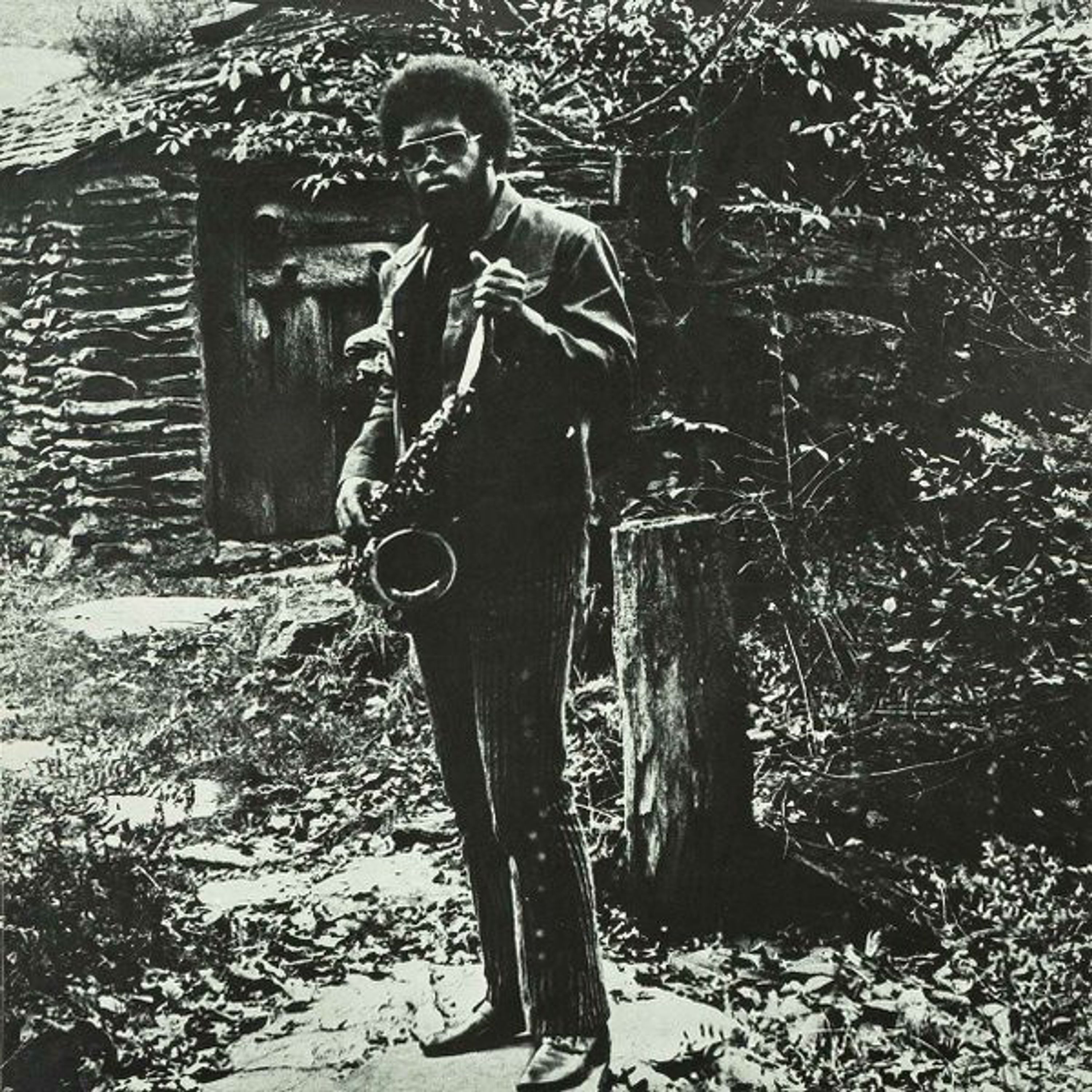 Vinyl Joe McPhee - NATION TIME