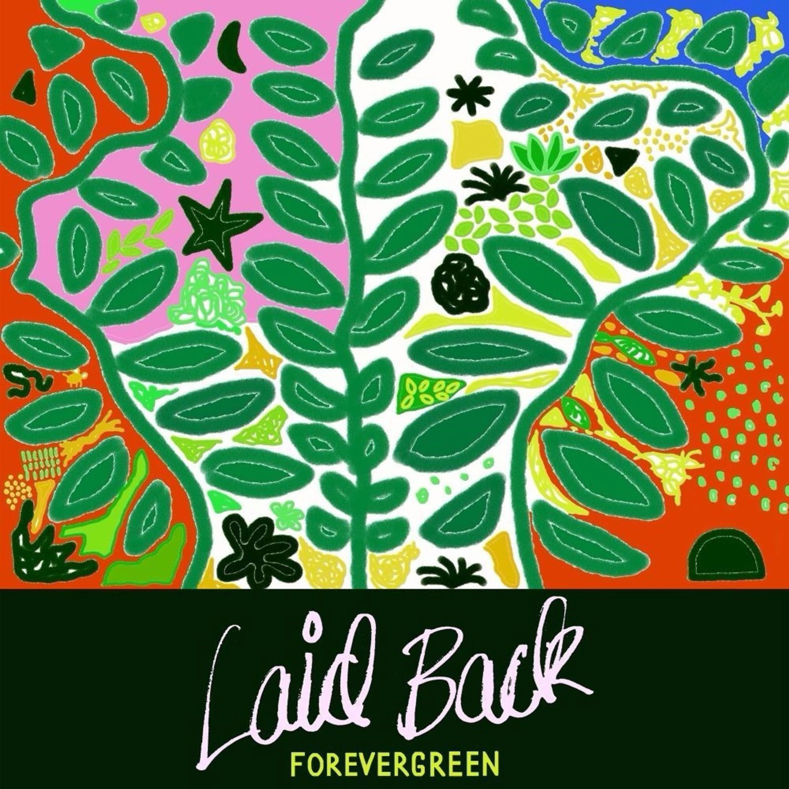 Vinyl Laid Back - FOREVERGREEN
