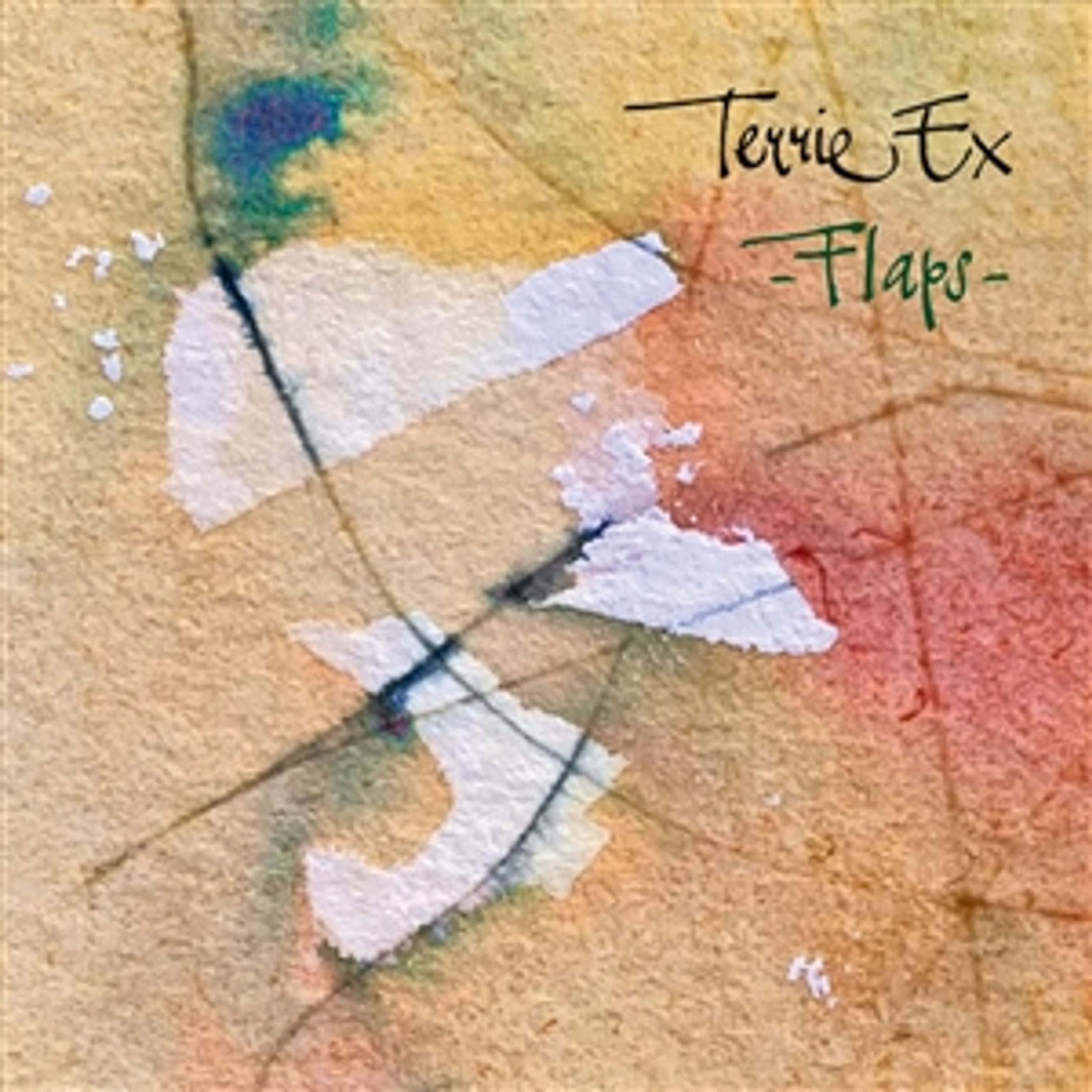 Vinyl Terrie Ex - FLAPS!