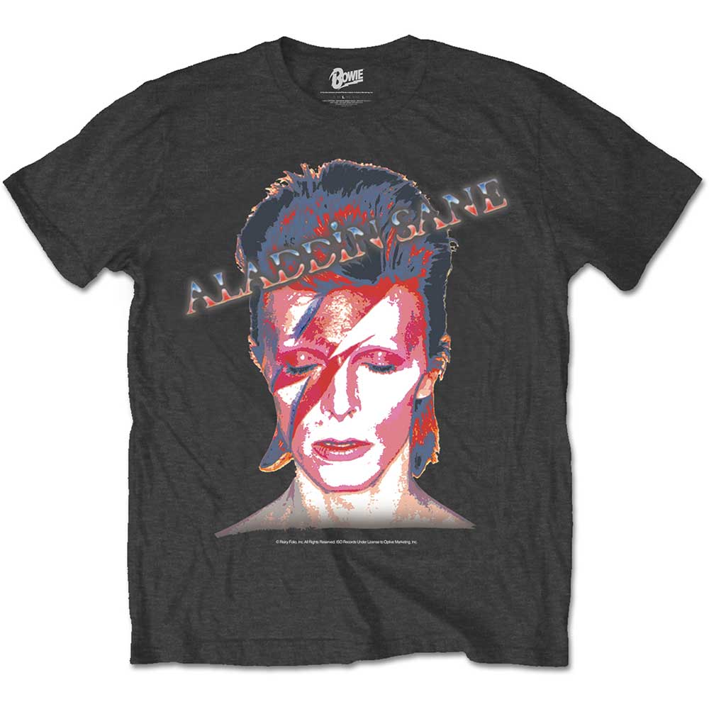 Tričko David Bowie - Aladdin Sane, Unisex,Šedá,XXL
