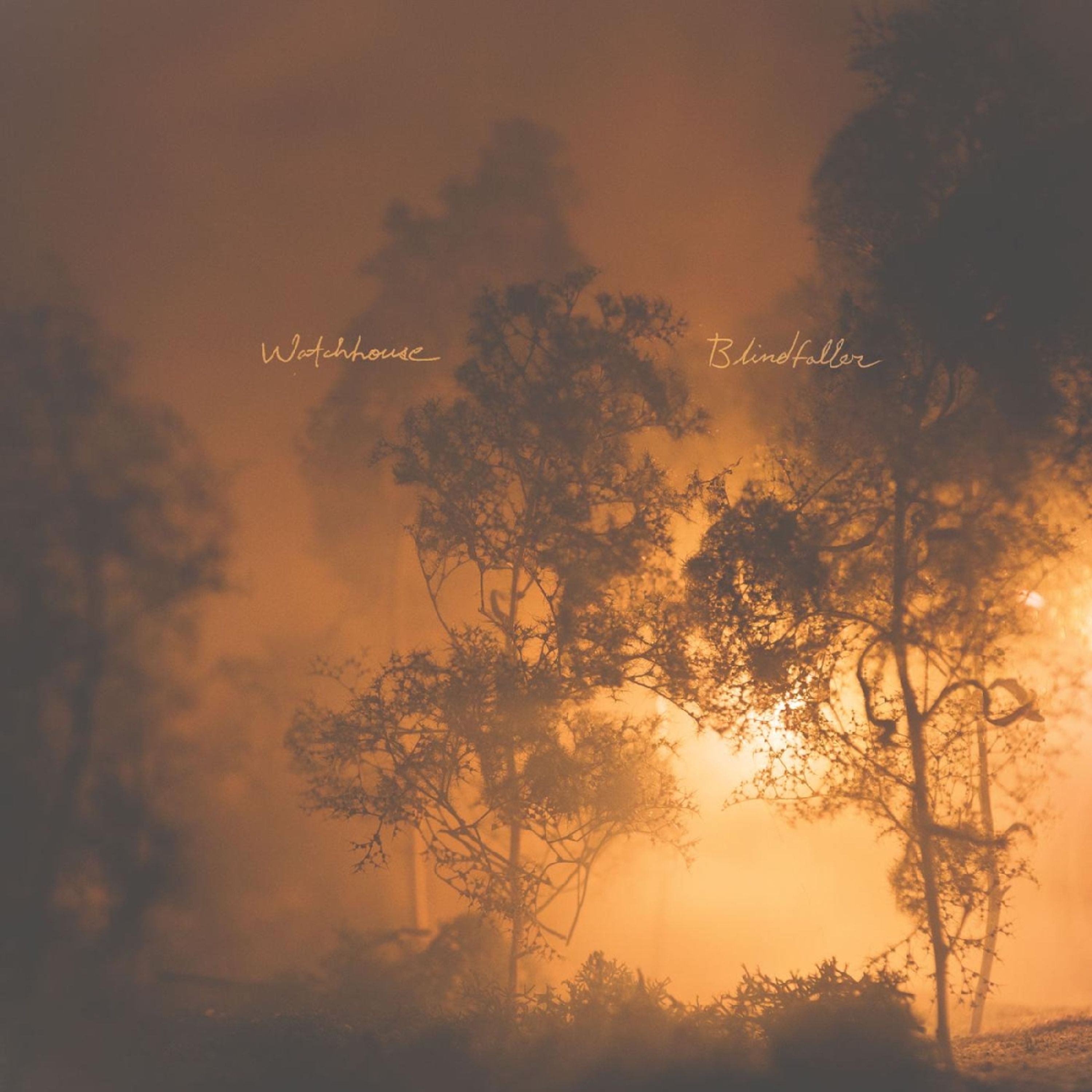 Vinyl Watchhouse - BLINDFALLER
