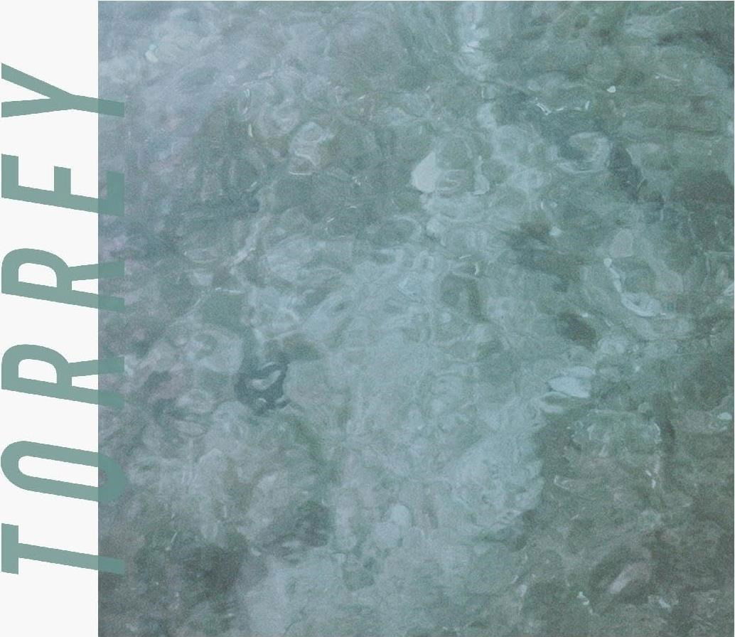 CD Torrey - TORREY