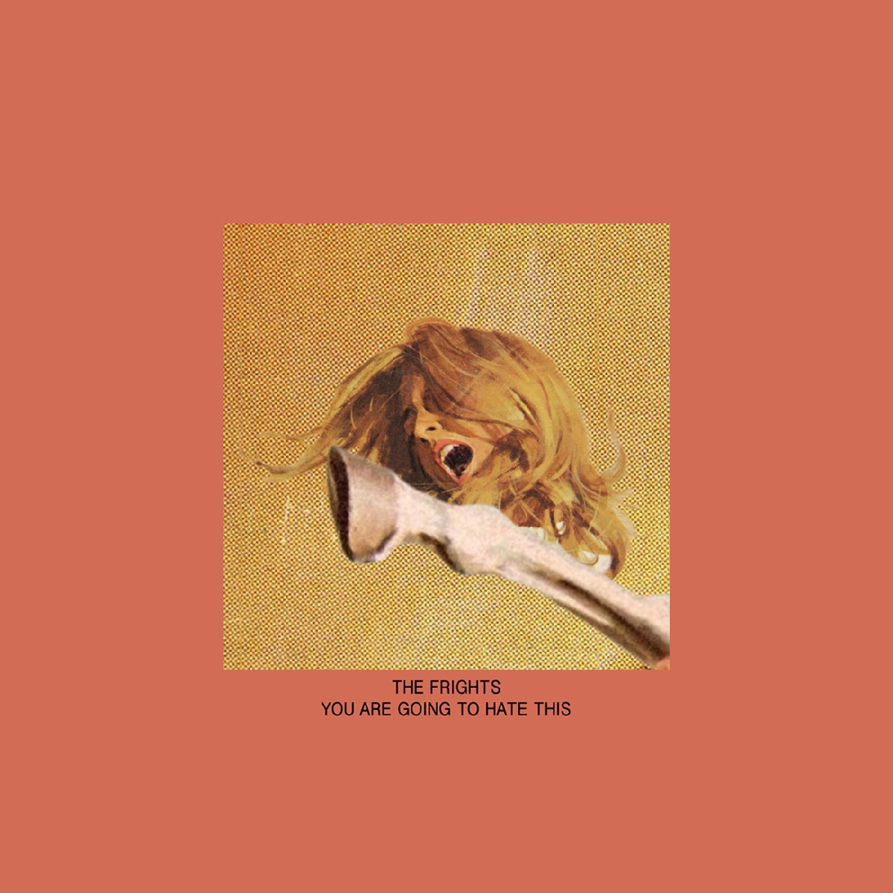 Vinyl - YOU ARE GOING TO HATE ...