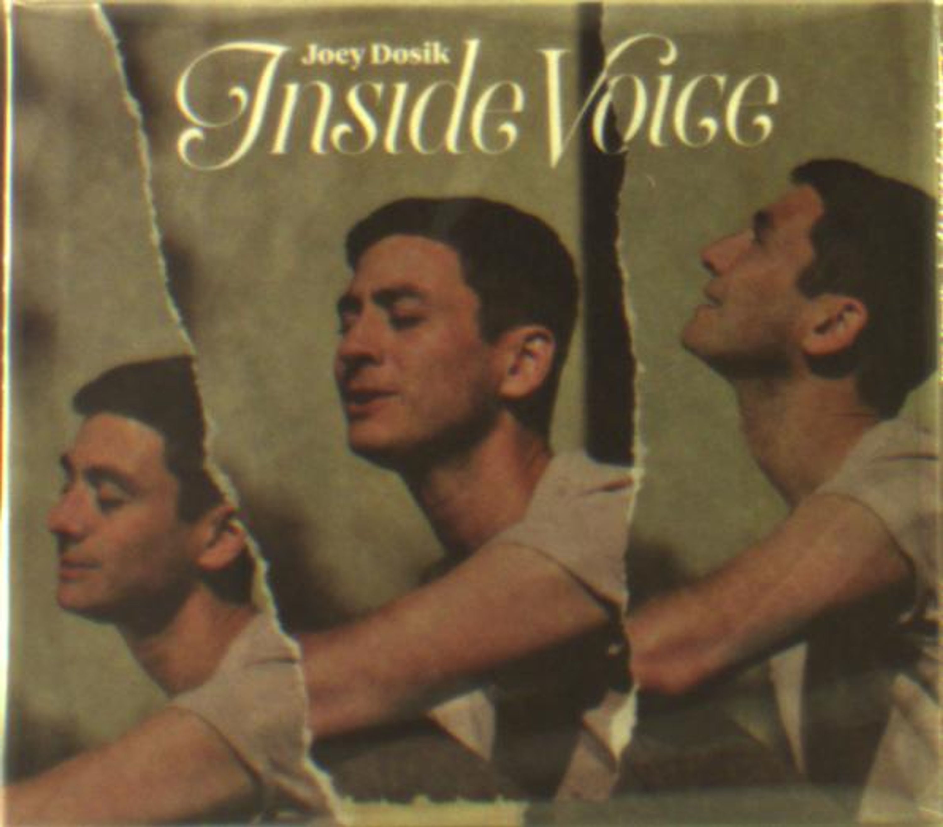 CD Joey Dosik - INSIDE VOICE