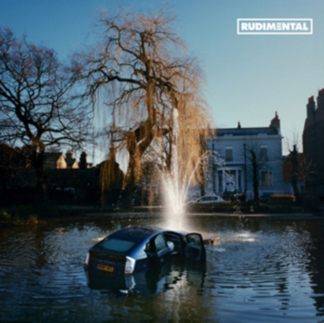 Vinyl Rudimental - Rudim3Ntal