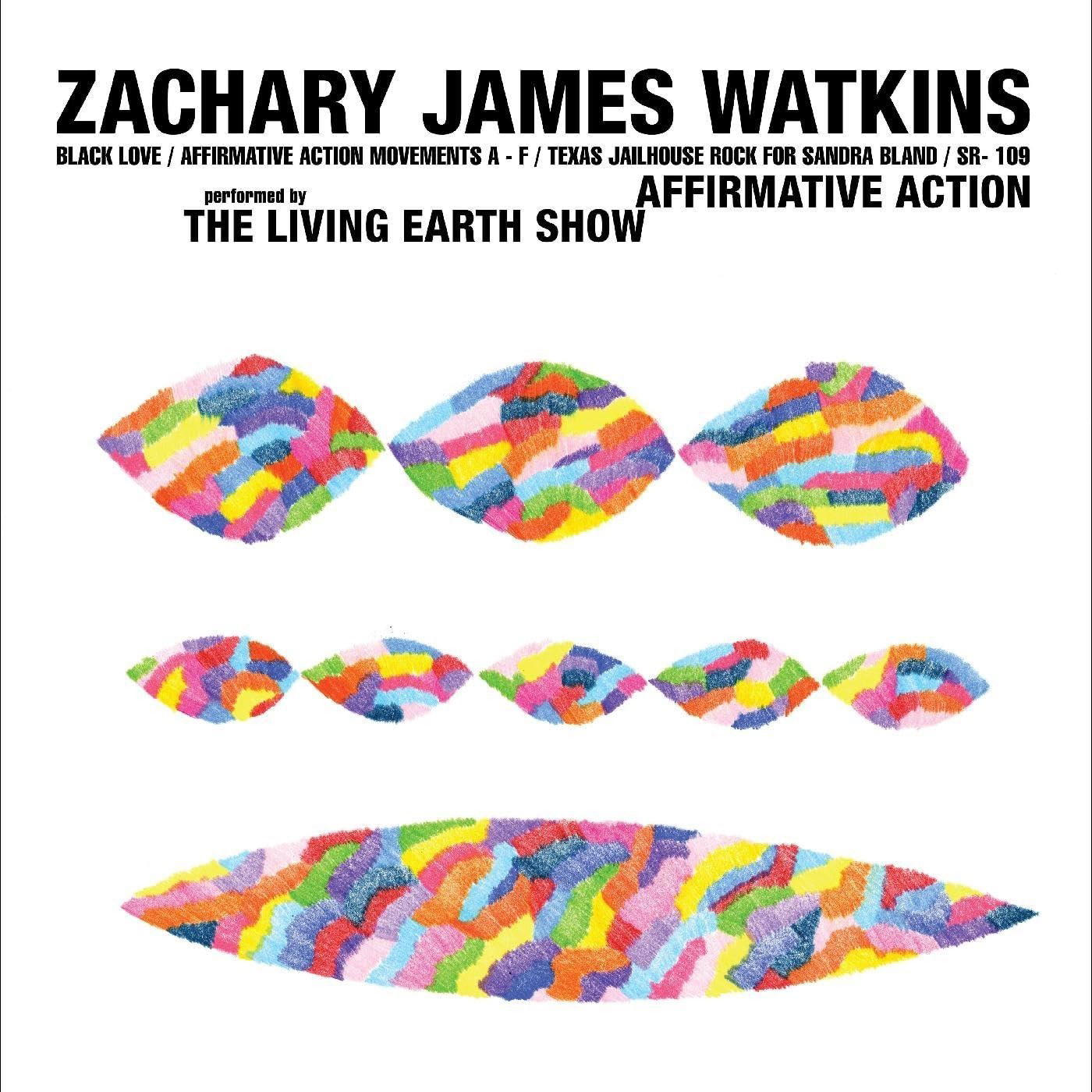 Vinyl James Watkins - AFFIRMATIVE ACTION