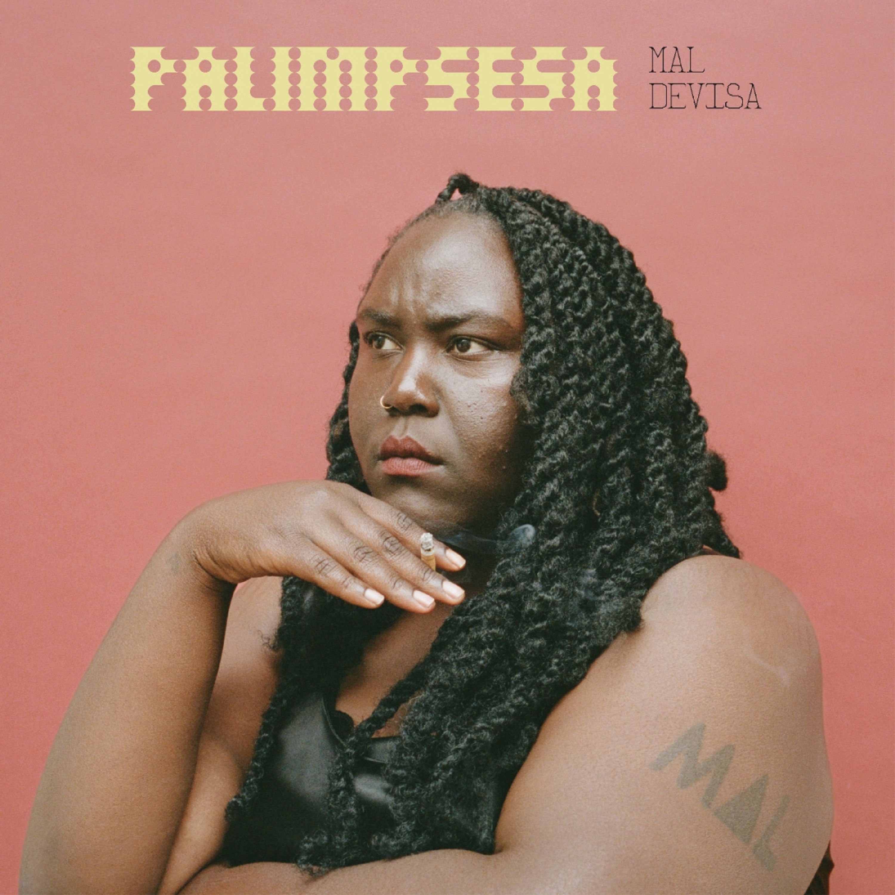Vinyl Devisa Mal - PALIMPSESA