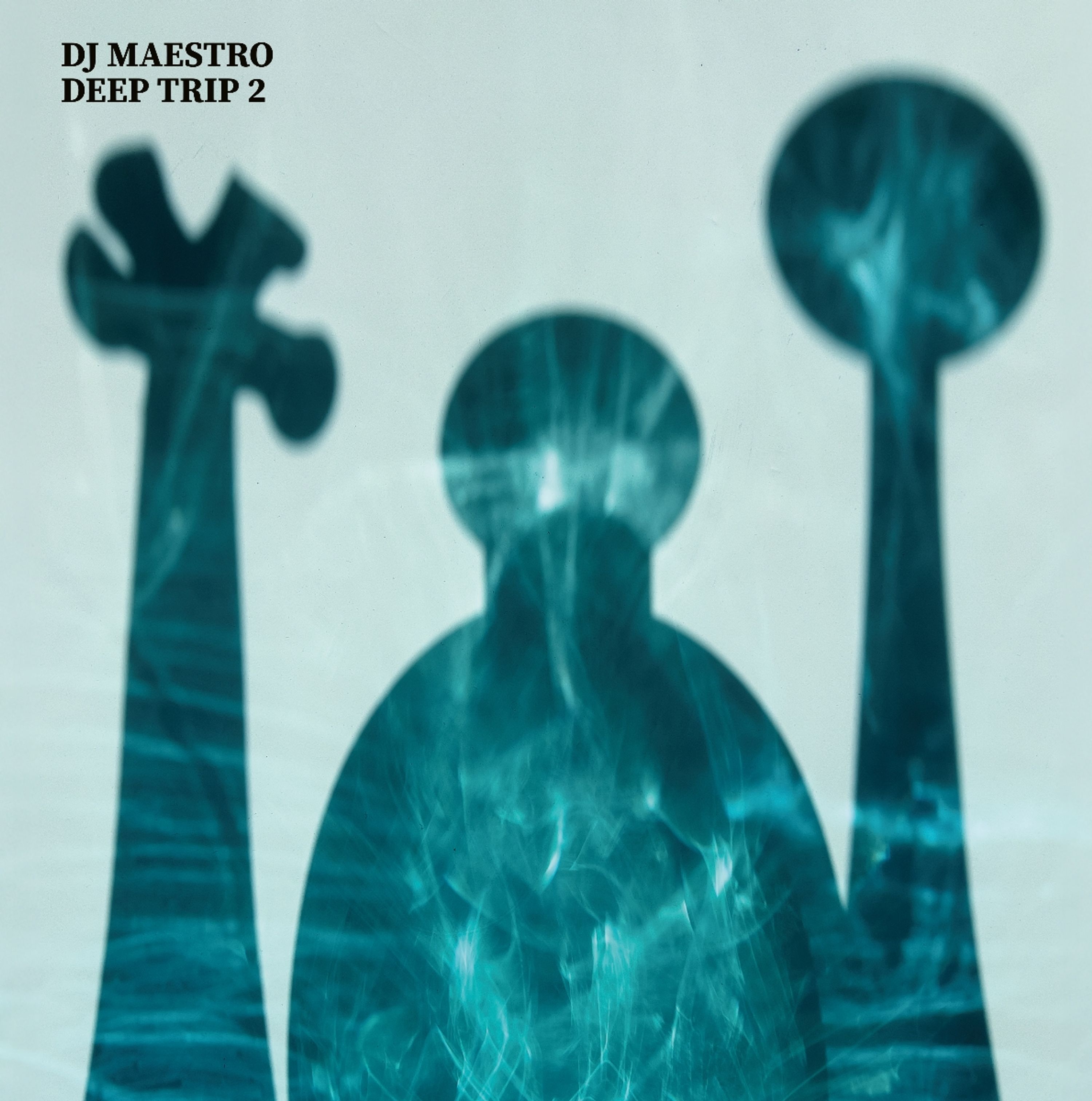 Vinyl DJ Maestro - DEEP TRIP 2