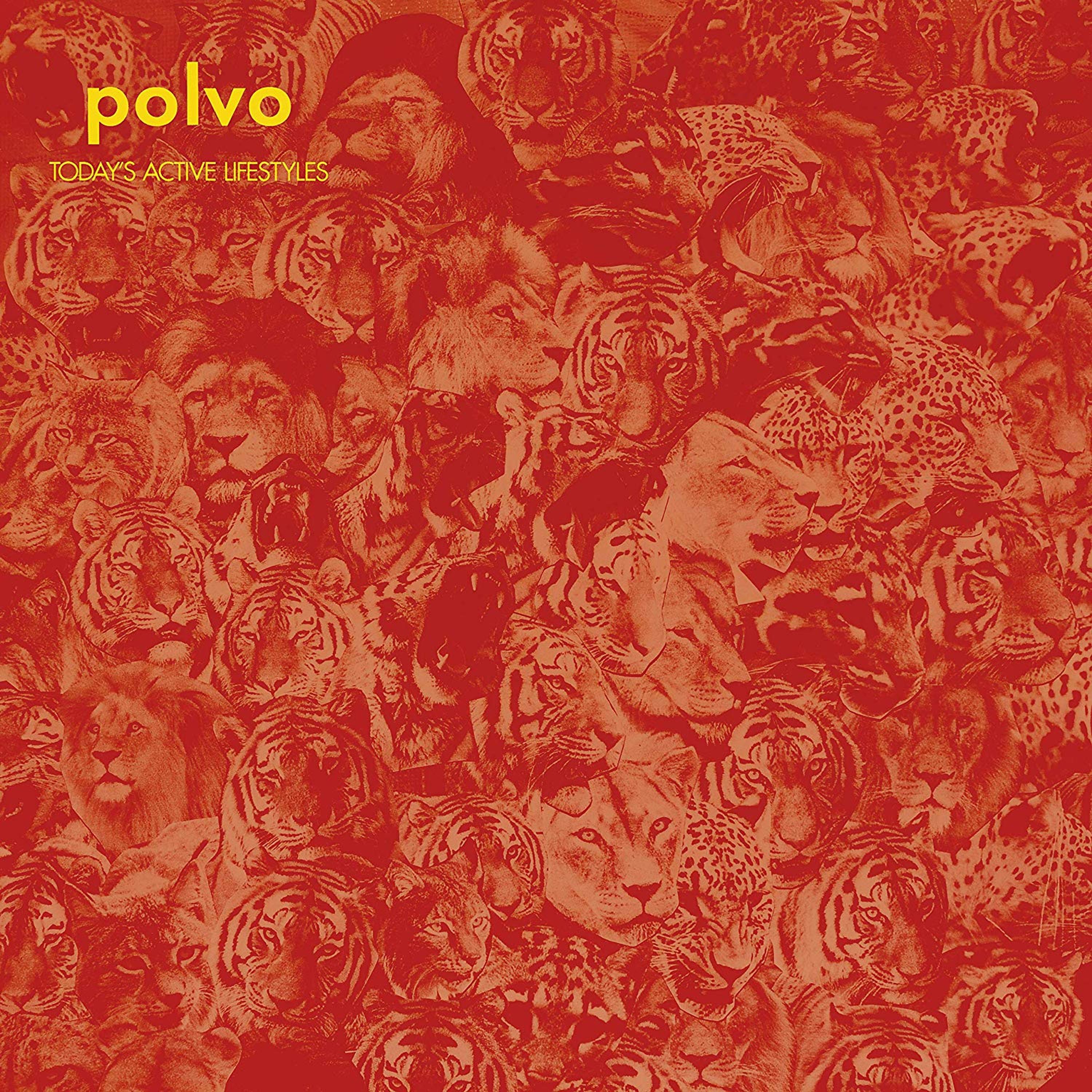 Vinyl Polvo - TODAY'S ACTIVE LIFESTYLES