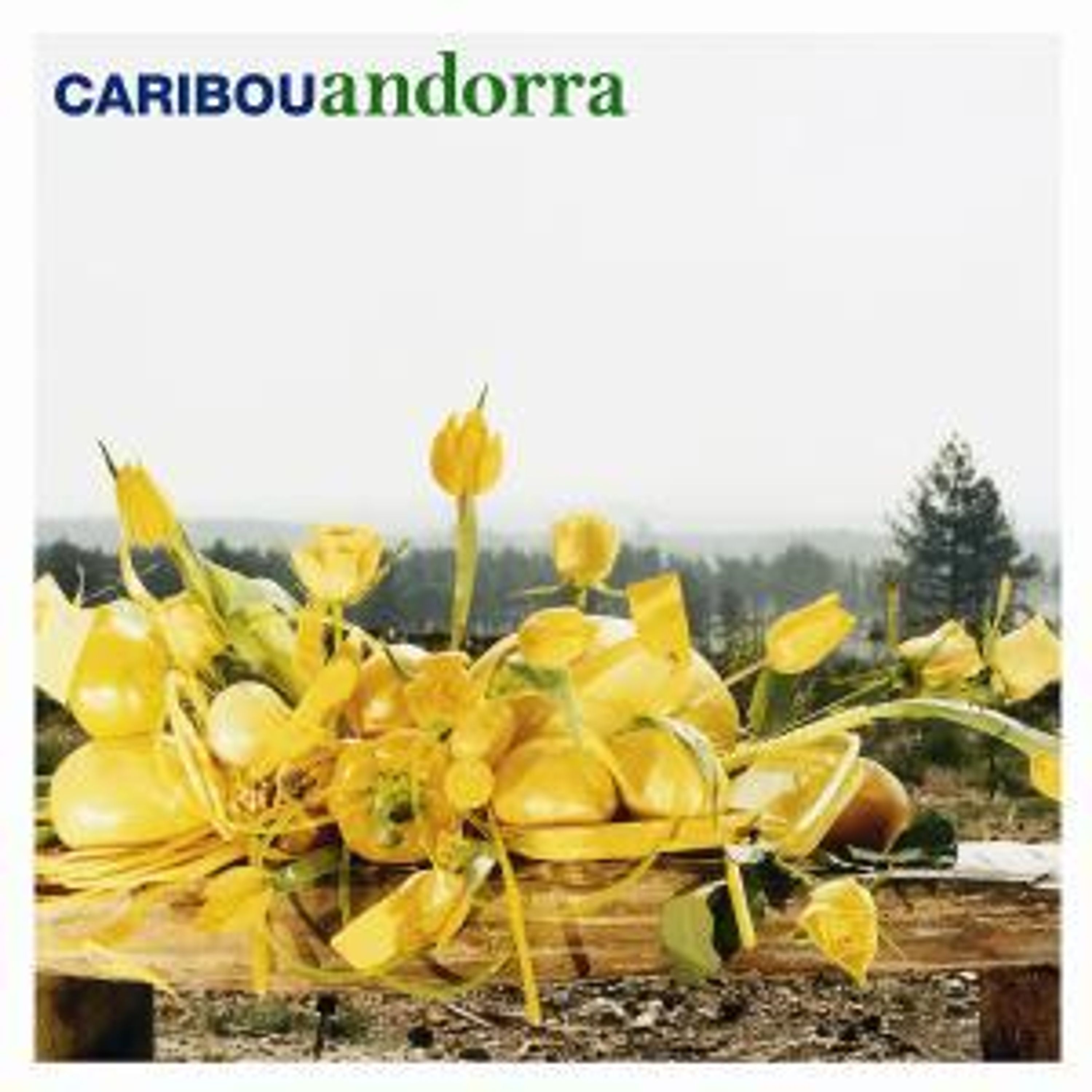 CD Caribou - ANDORRA
