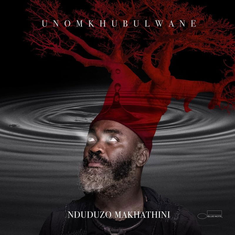 Vinyl Nduduzo Makhathini - uNomkhubulwane