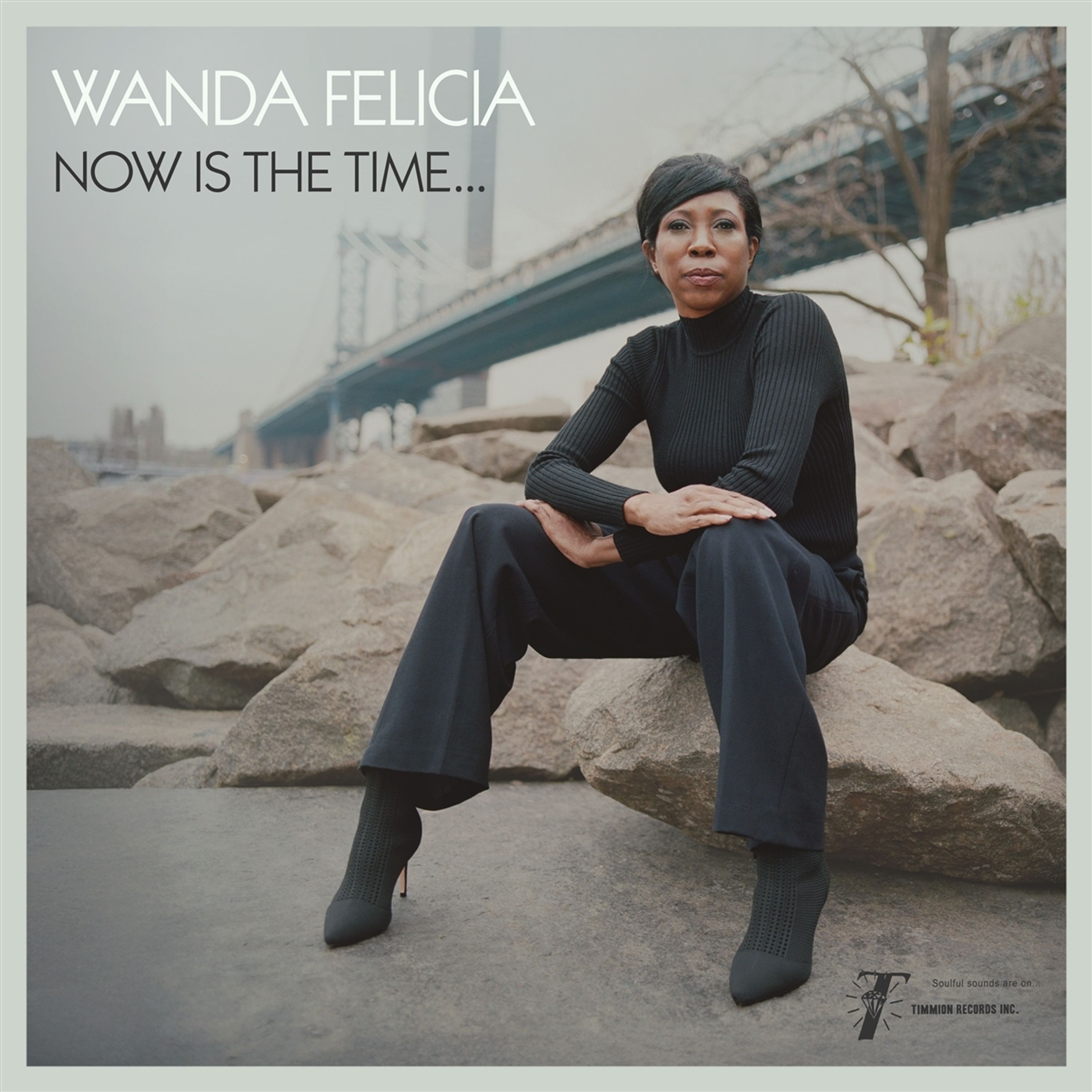 Vinyl Wanda Felicia & Cold Diamond & Mink - NOW IS THE TIME