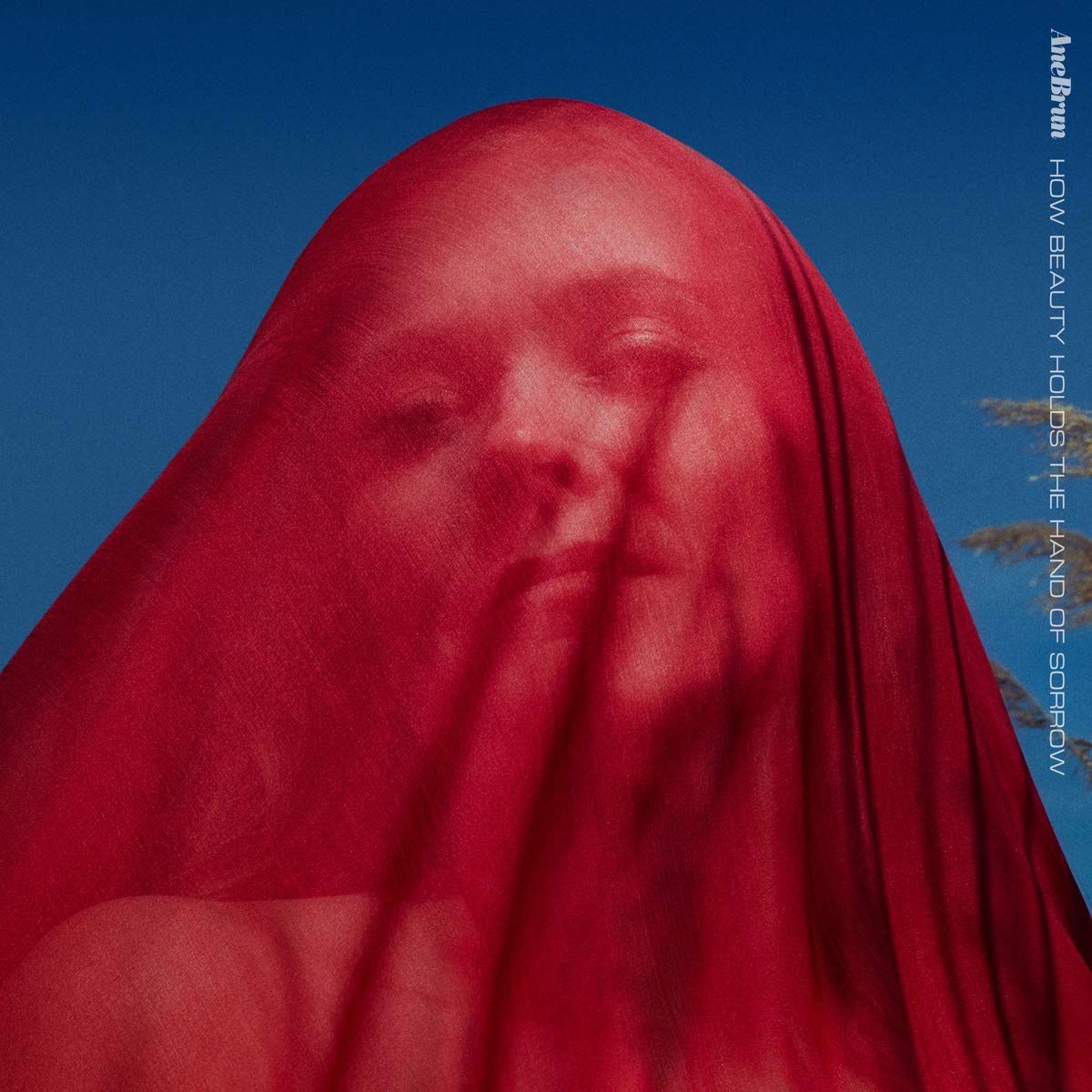 CD Ane Brun - HOW BEAUTY HOLDS THE HAND OF SORROW