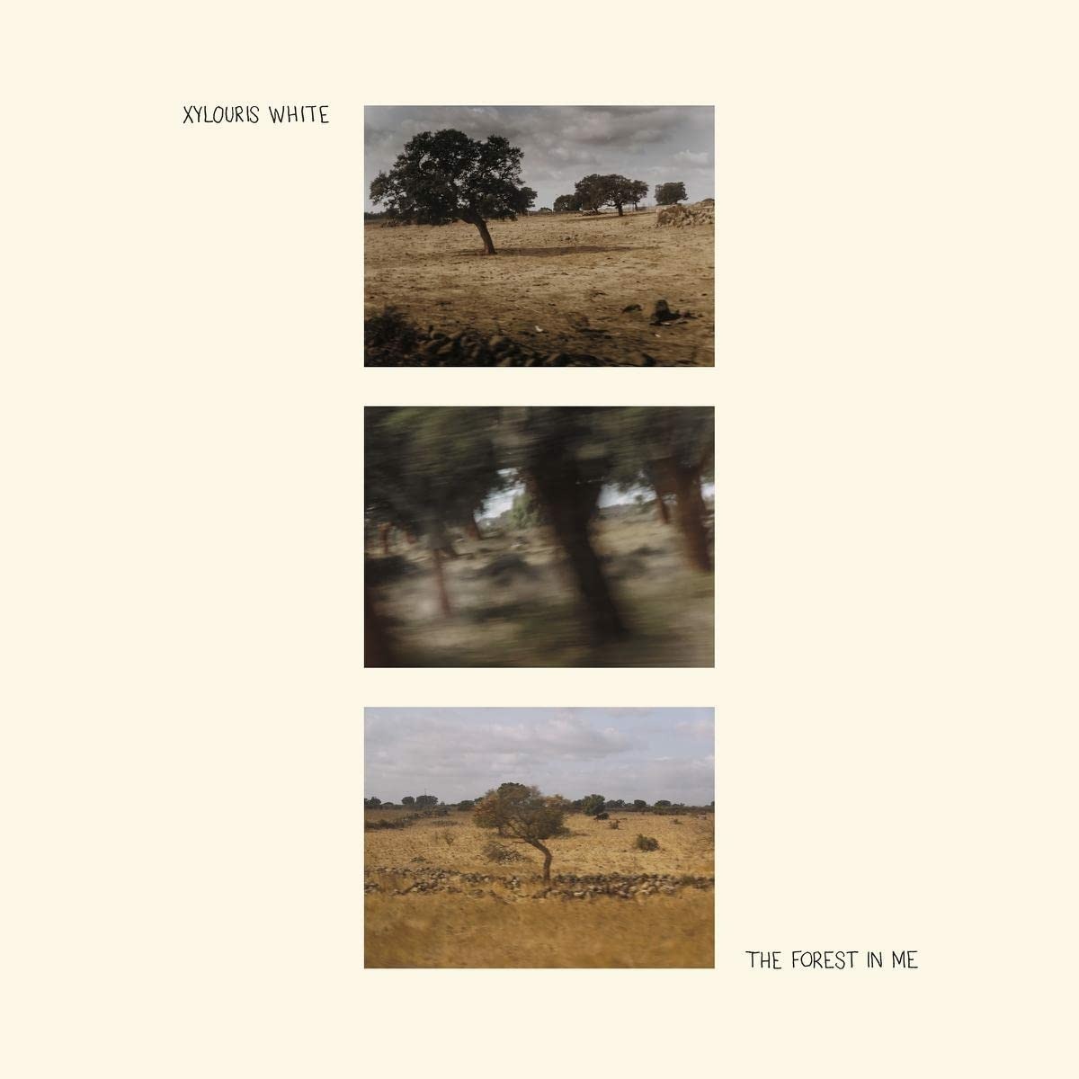 CD Xylouris White - FOREST IN ME