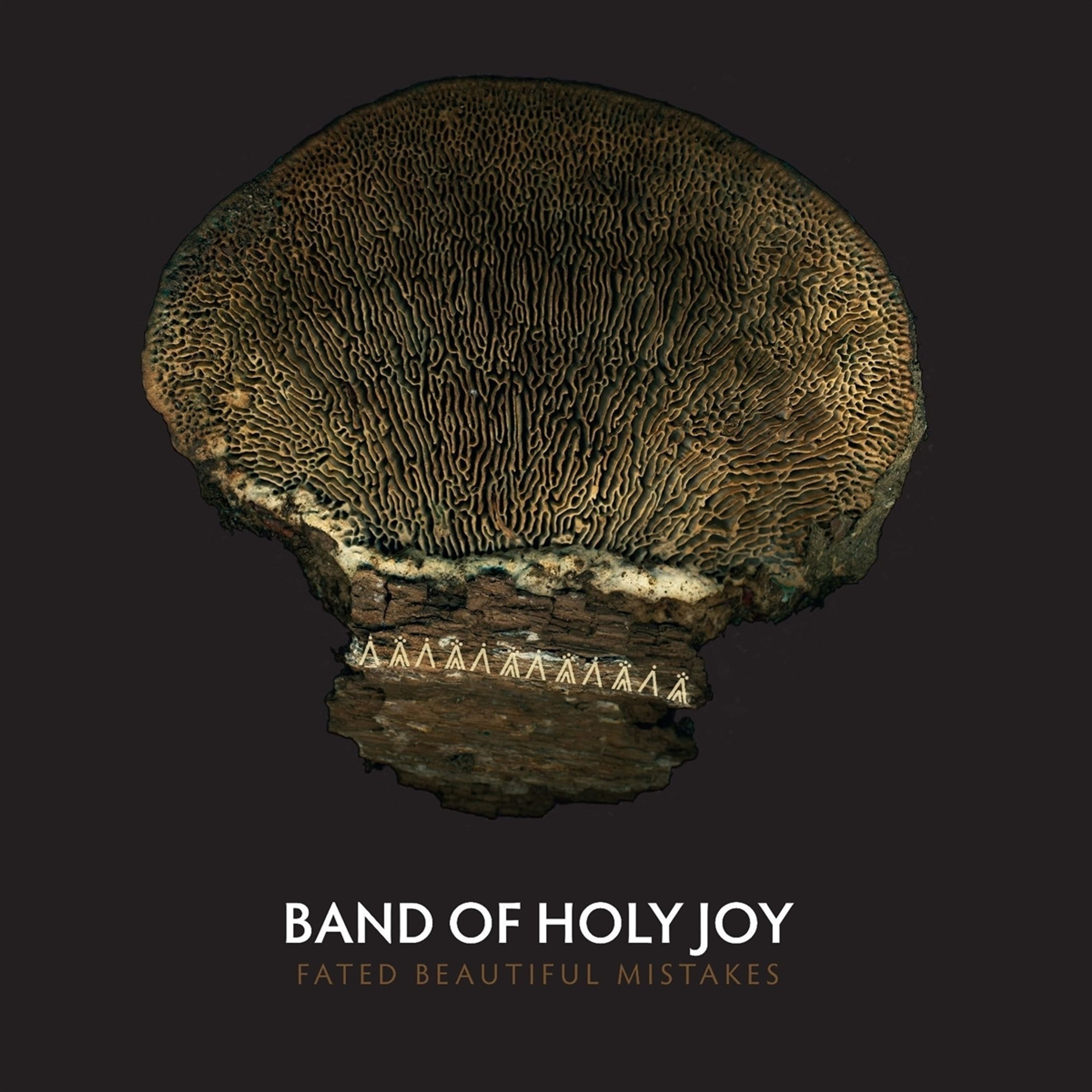 CD Band of Holy Joy - FATED BEAUTIFUL MISTAKES