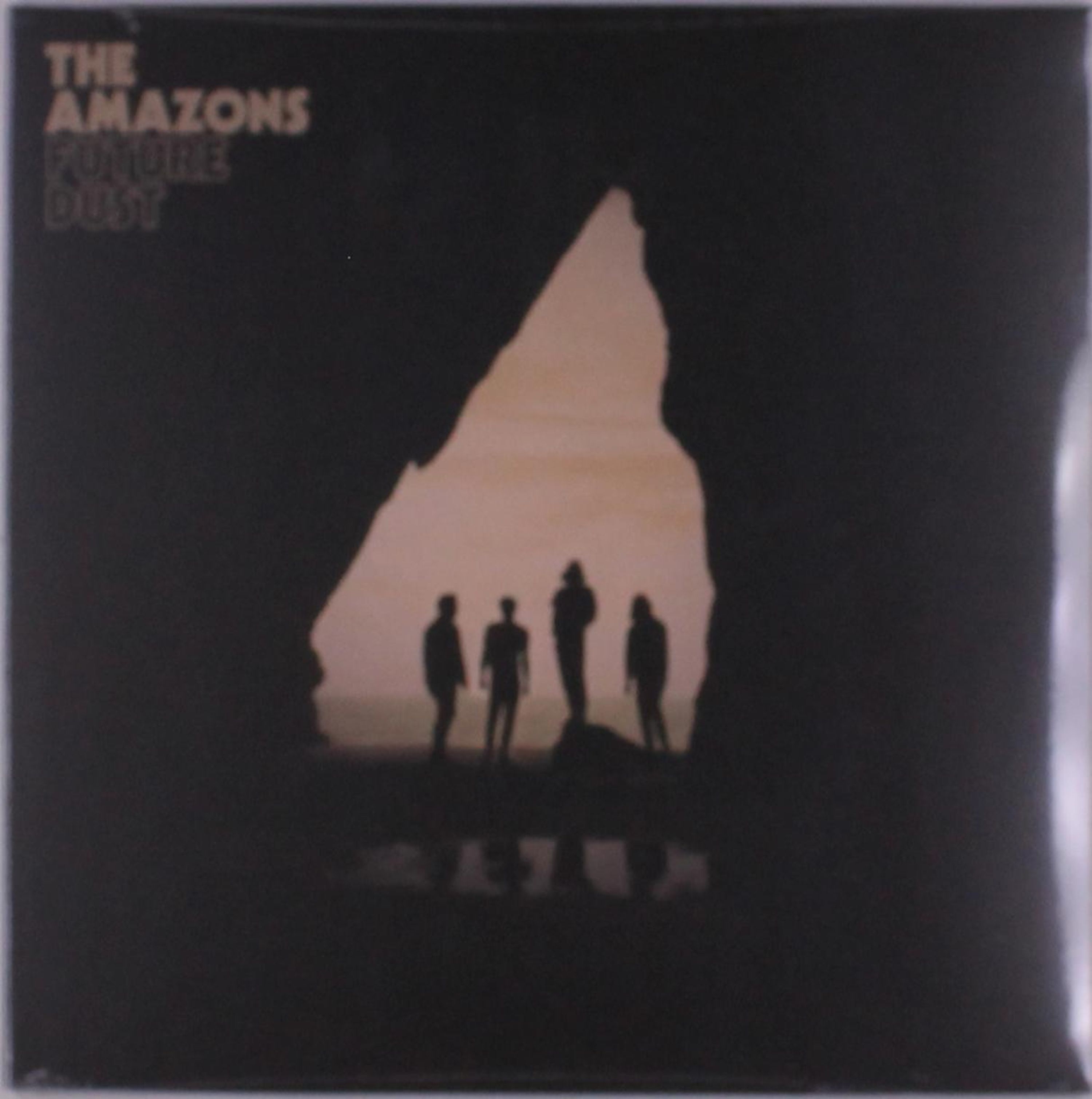 Vinyl The Amazons - FUTURE DUST