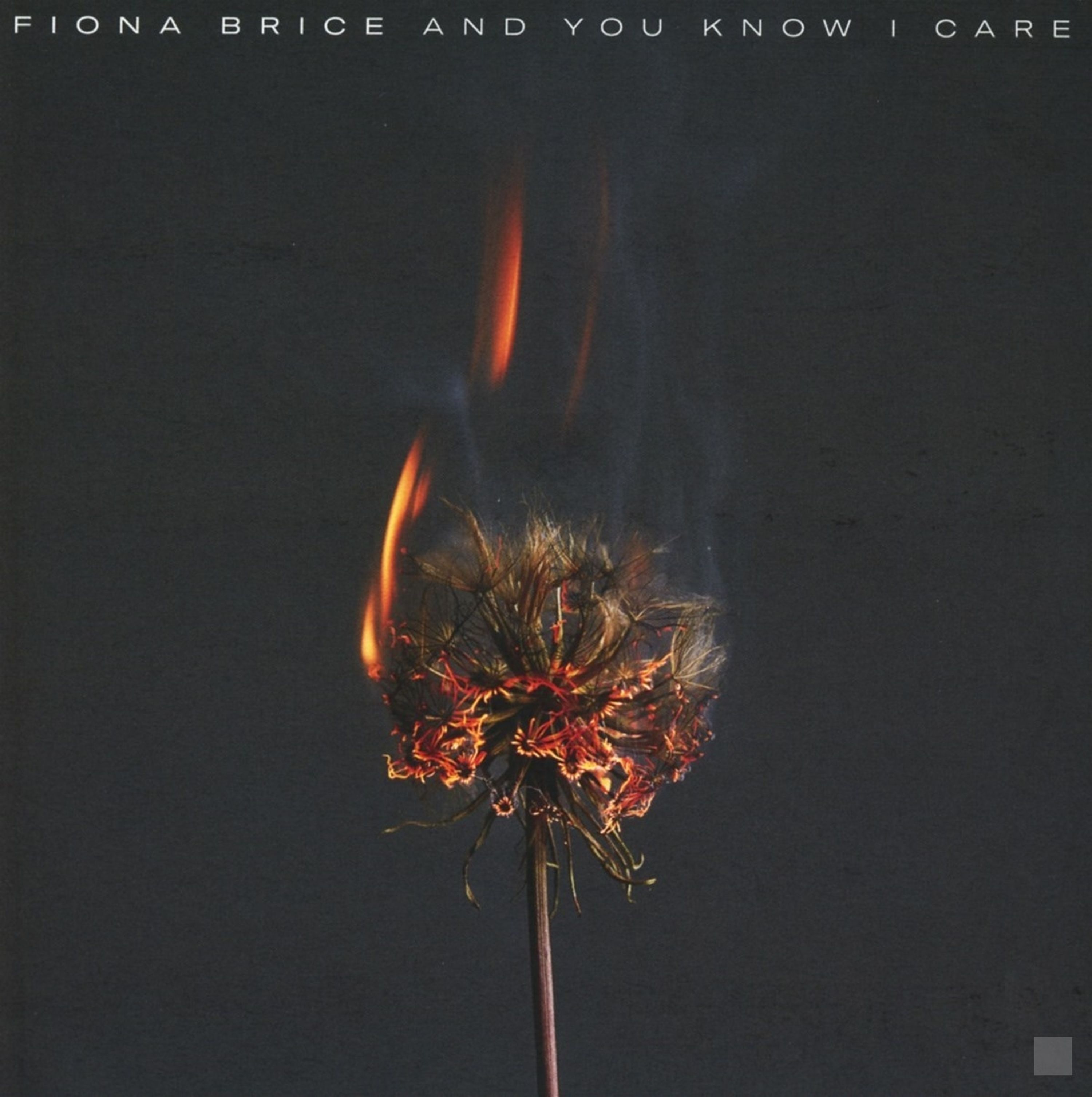 CD - BRICE, FIONA - AND YOU KNOW I CARE