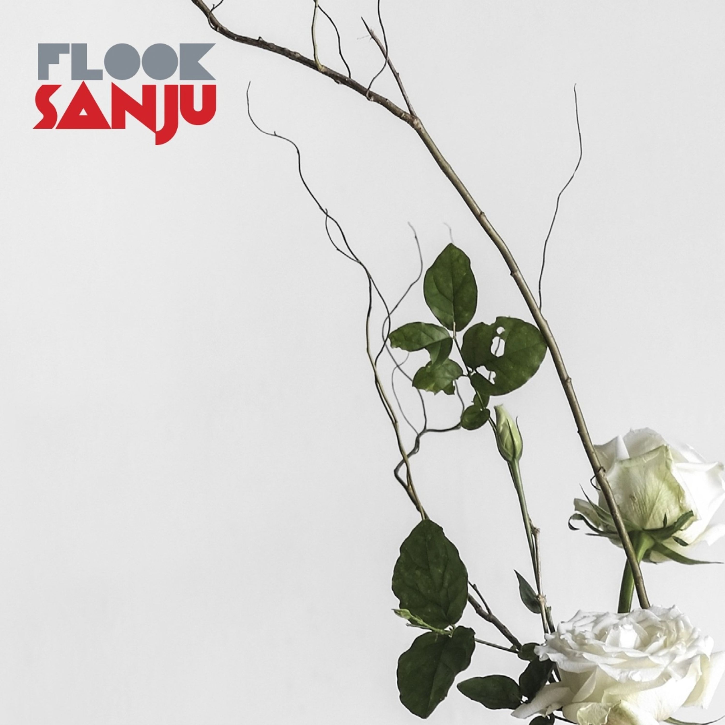 CD - SANJU