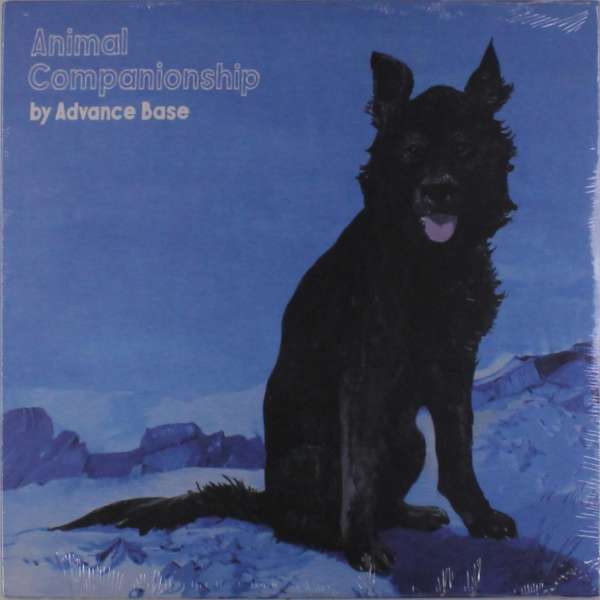 Vinyl Advance Base - ANIMAL COMPANIONSHIP
