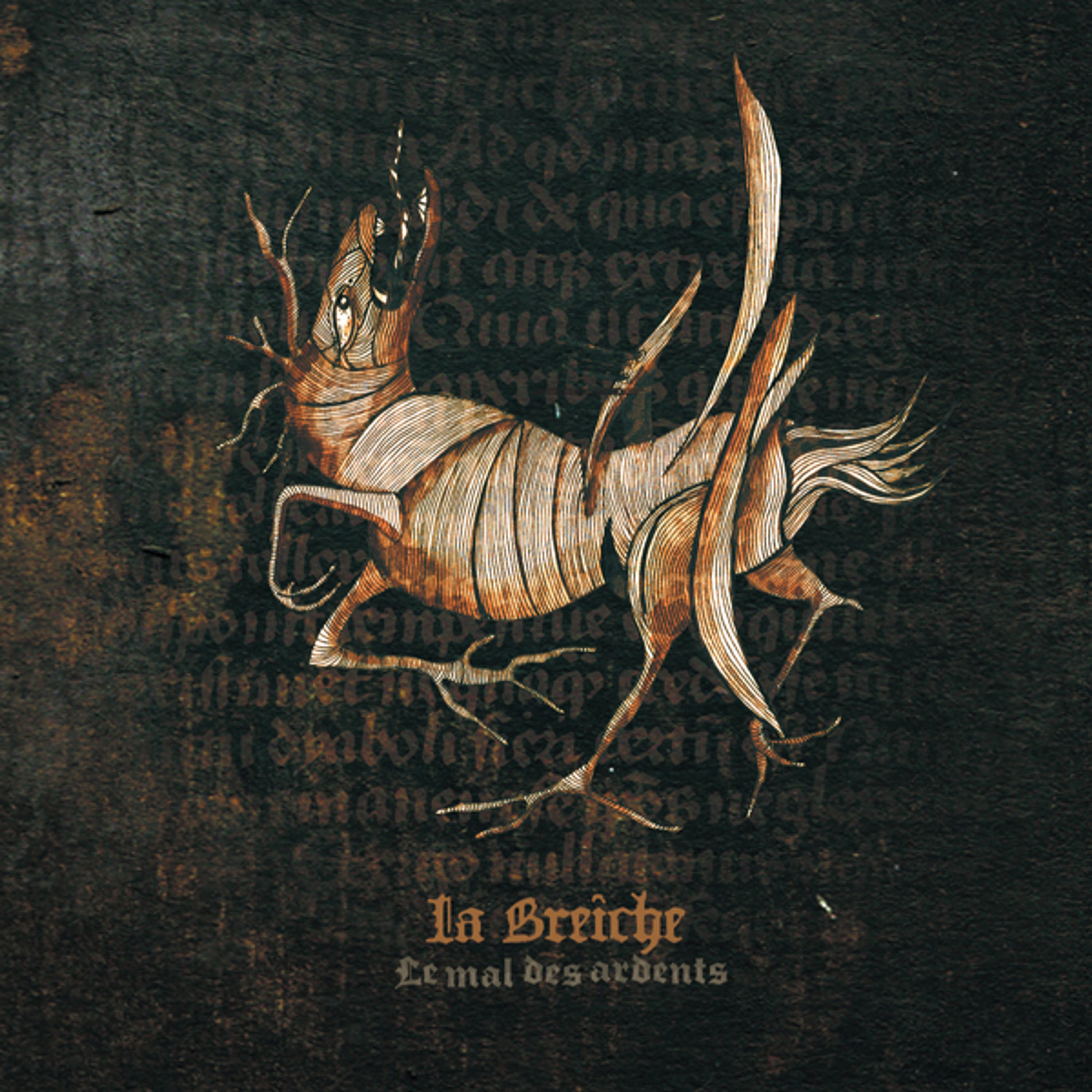 CD - LE MAL DES ARDENTS