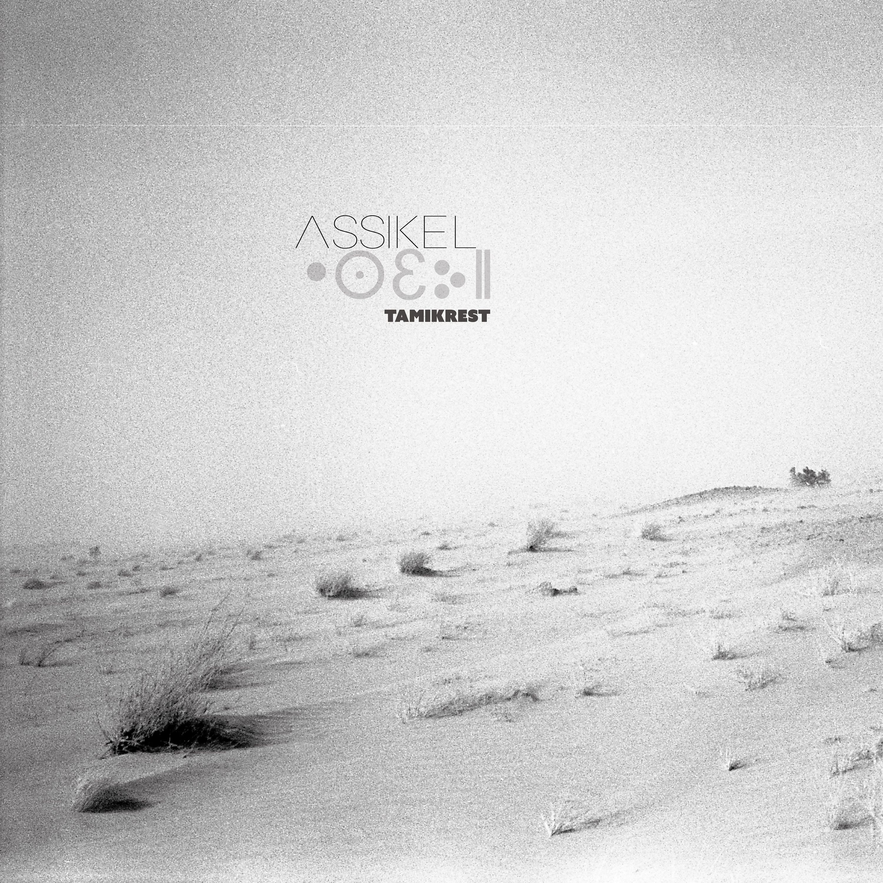 Vinyl - ASSIKEL