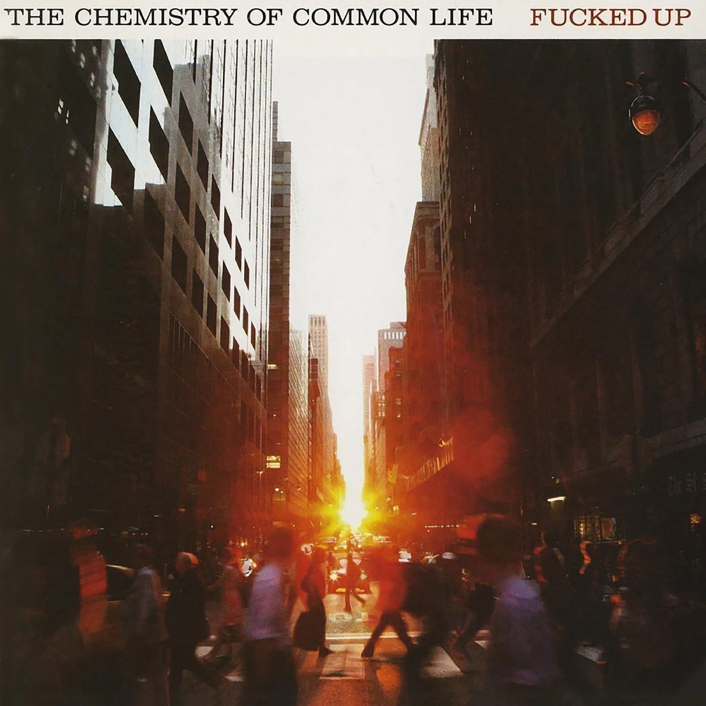 Vinyl Fucked Up - CHEMISTRY OF COMMON LIFE