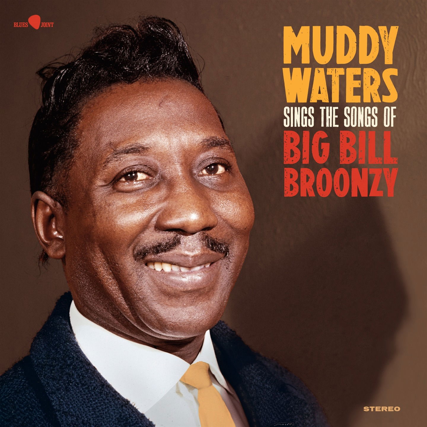 Vinyl Muddy Waters - SINGS BIG BILL
