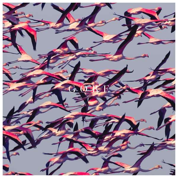 Vinyl Deftones - GORE