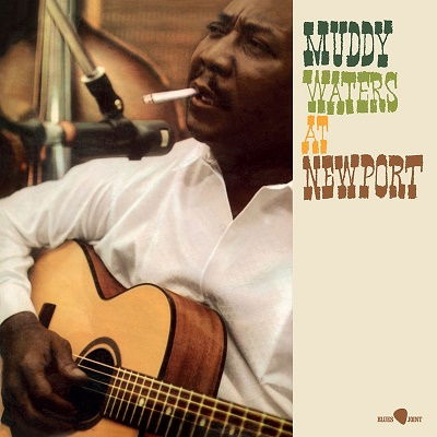 Vinyl Muddy Waters - AT NEW PORT