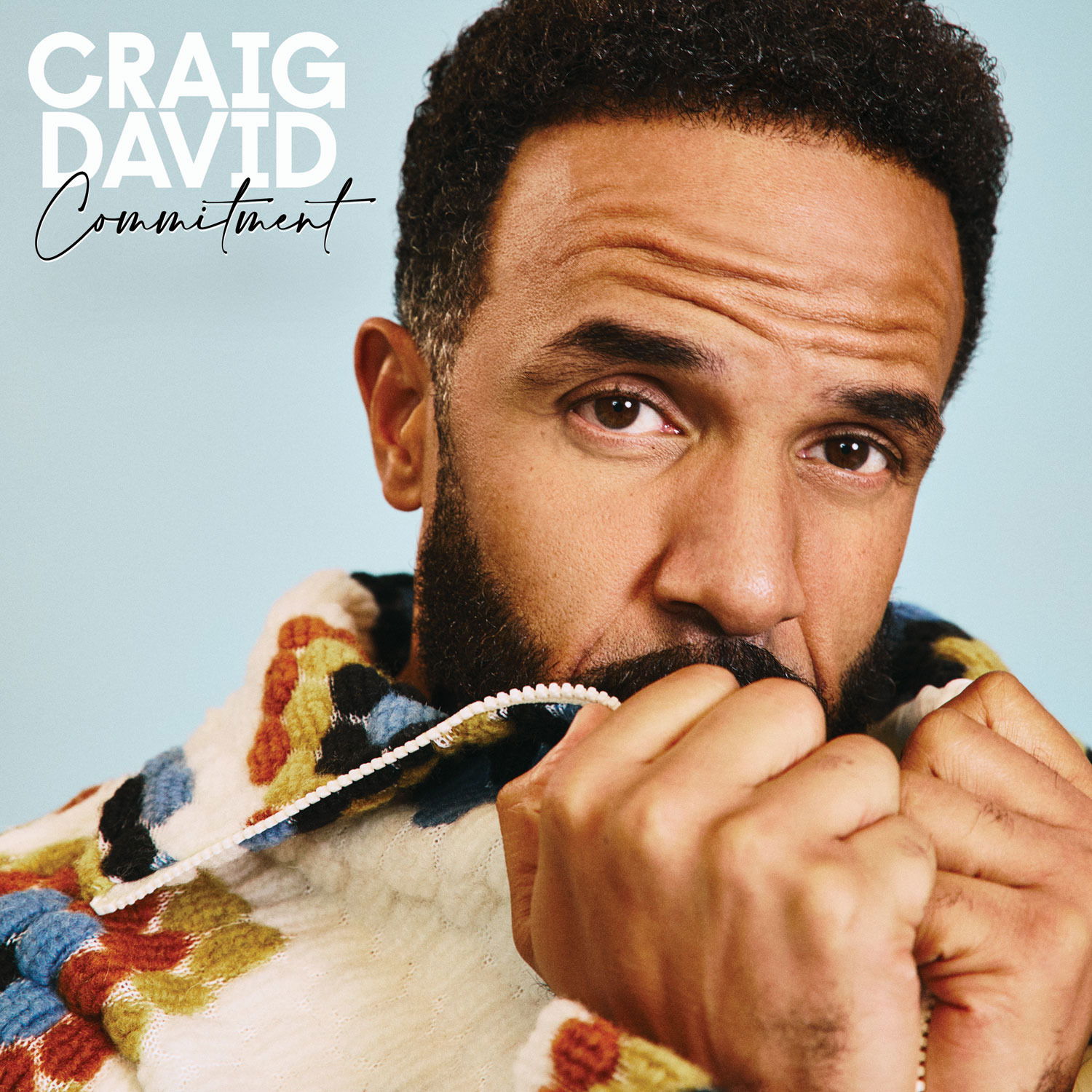 Vinyl Craig David - Commitment