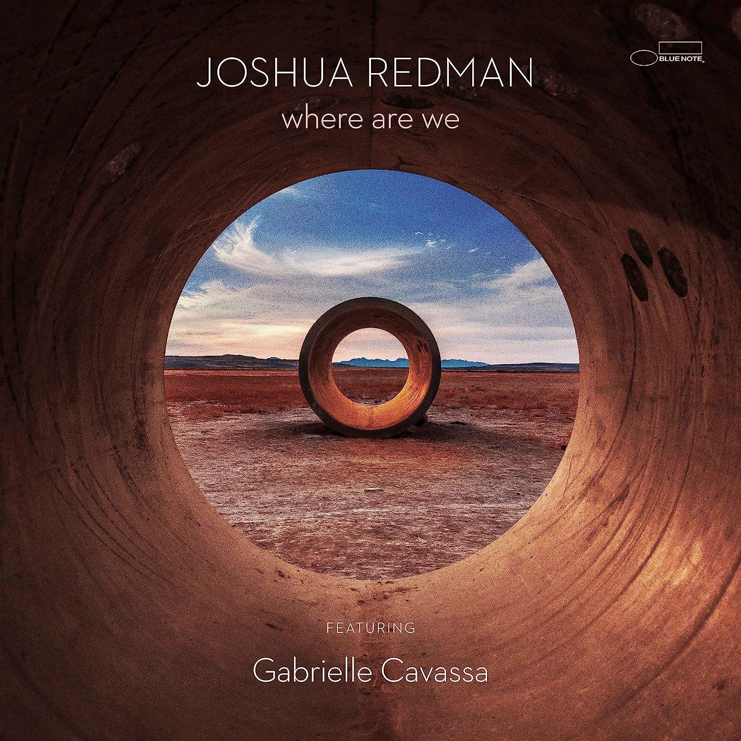 Vinyl Joshua Redman - where are we