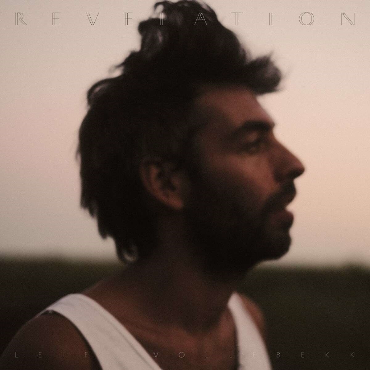 CD Leif Vollebekk - REVELATION