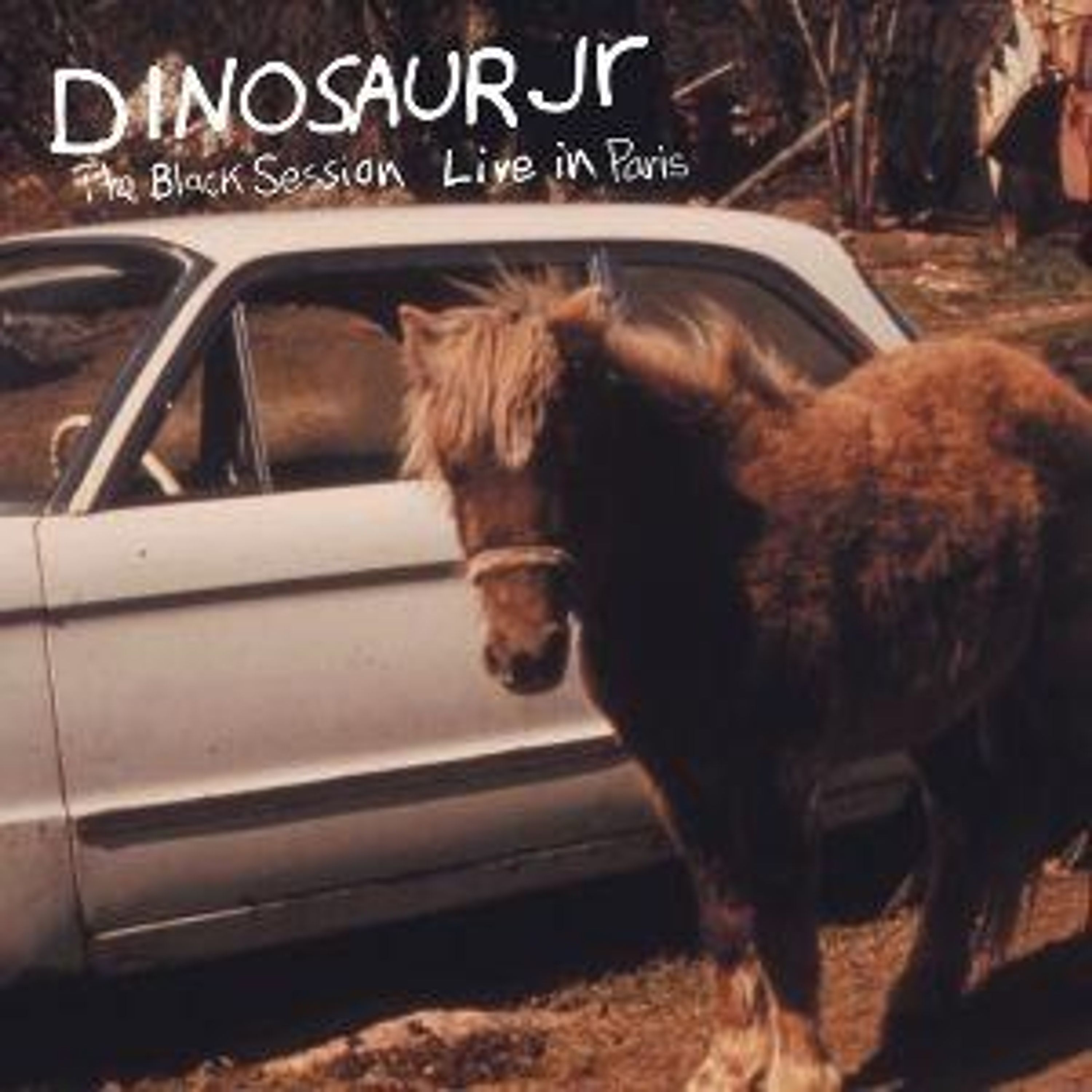 CD Dinosaur Jr. - BLACK SESSION (LIVE IN PARIS 1993)