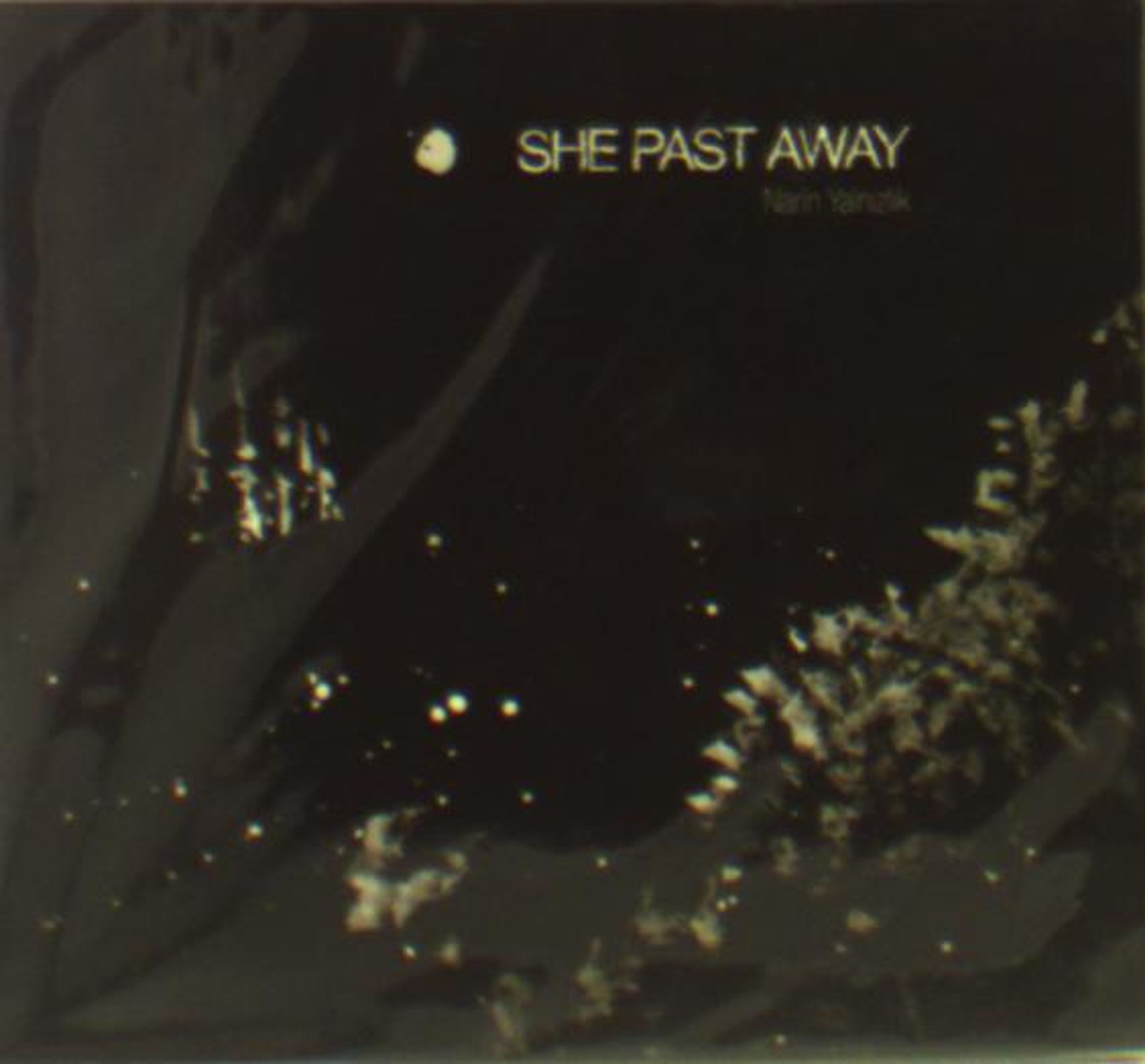 CD She Past Away - She Past Away - Narin Yalnizlik