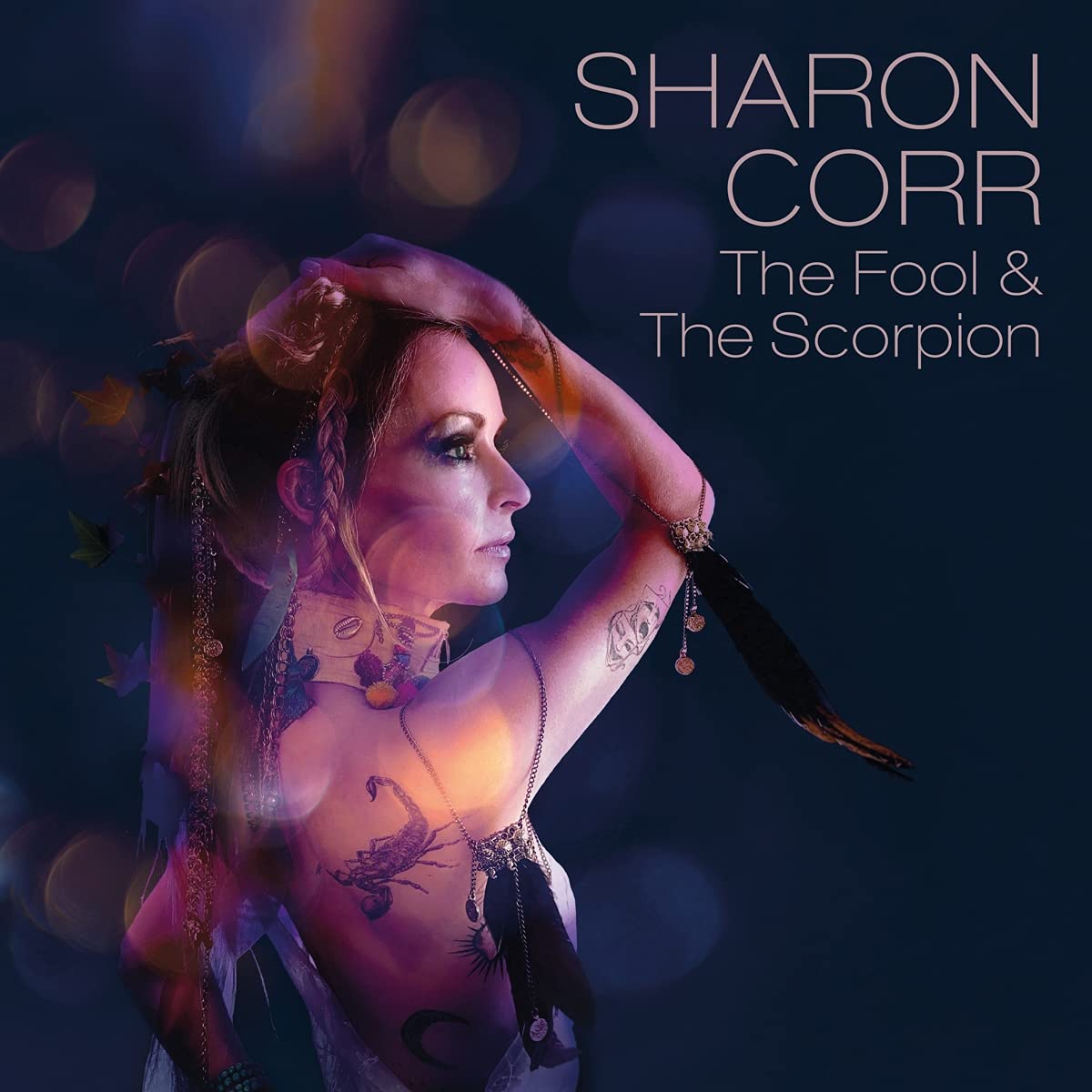Vinyl Sharon Corr - The Fool & The Scorpion