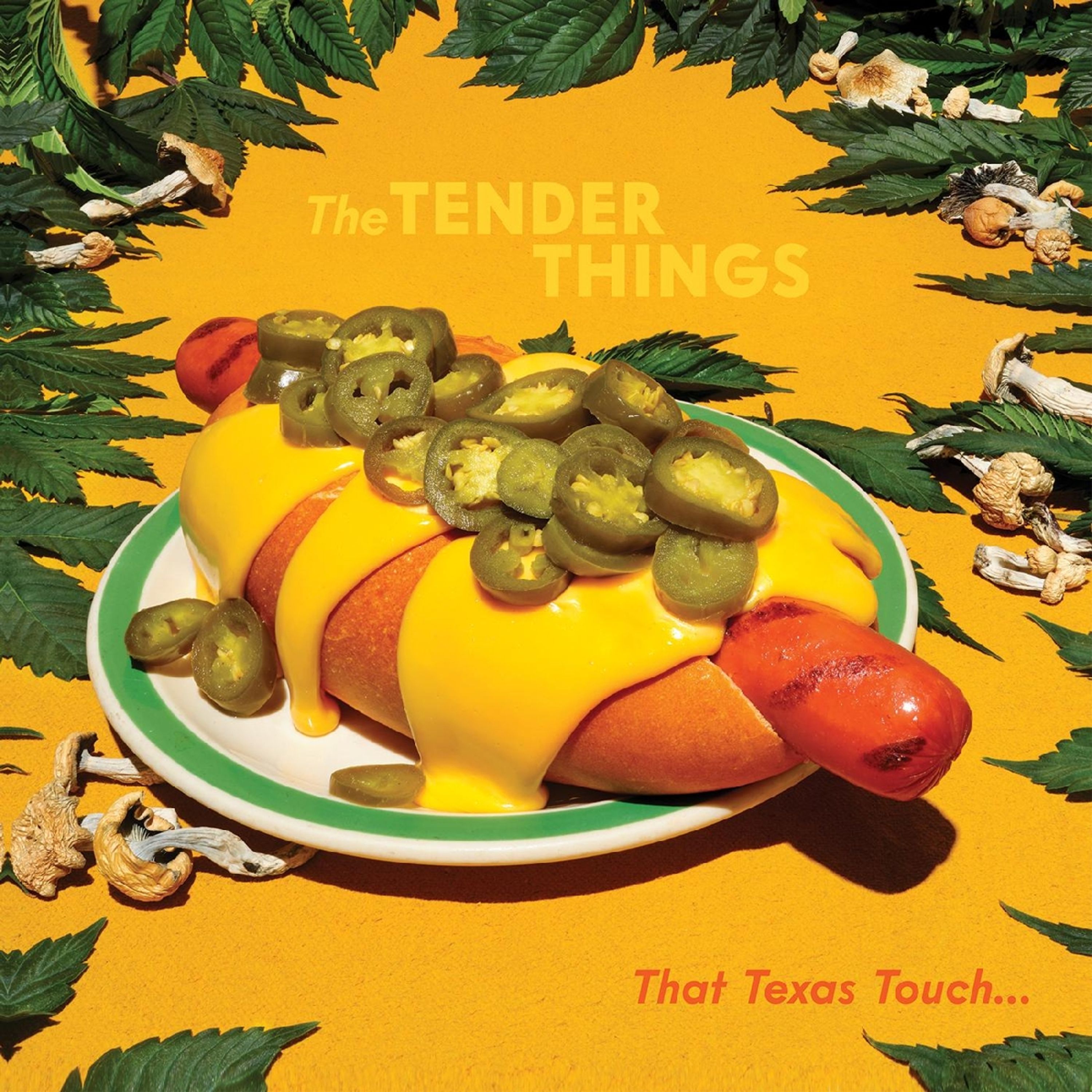 Vinyl The Tender Things - THAT TEXAS TOUCH