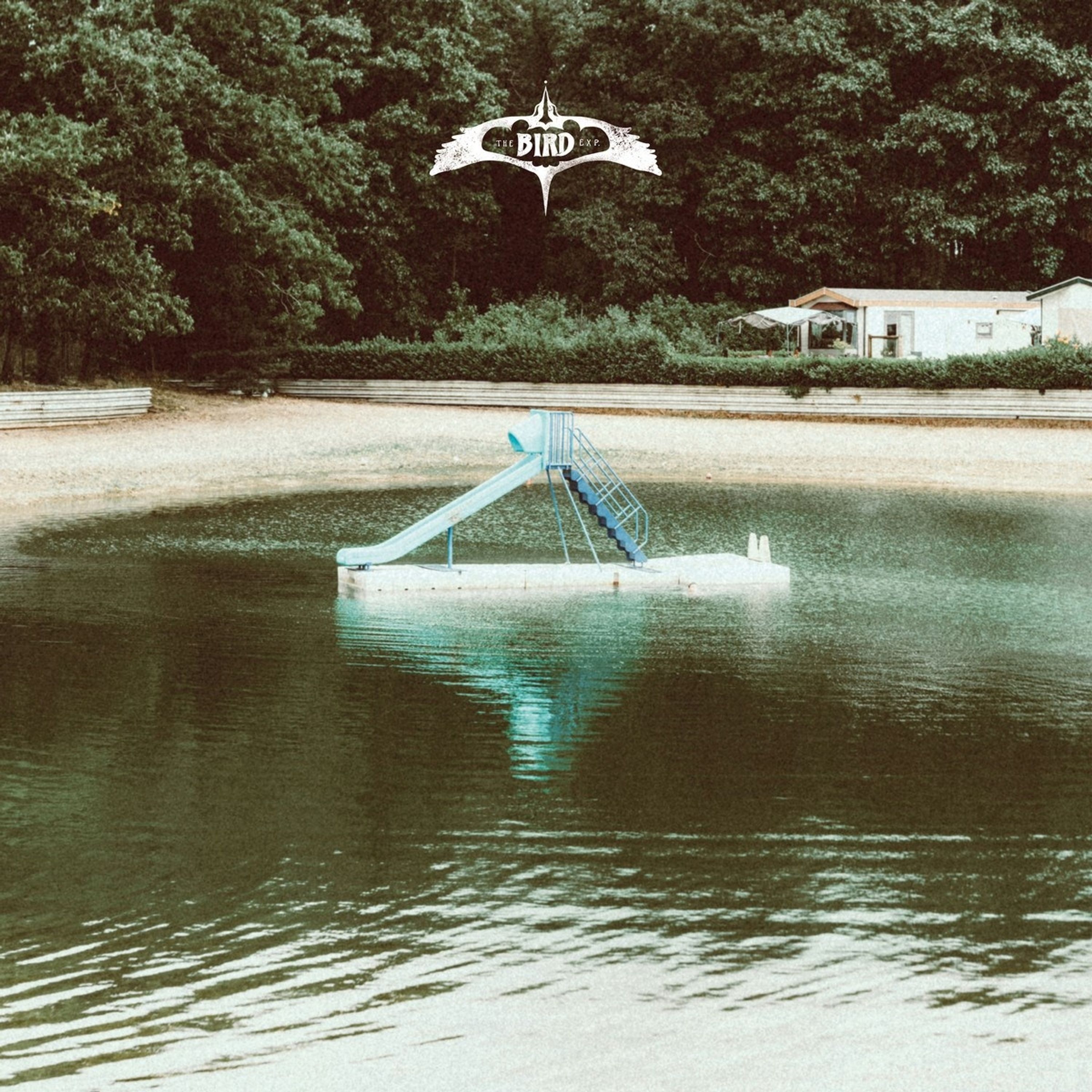 CD - BIRD EXPERIENCE